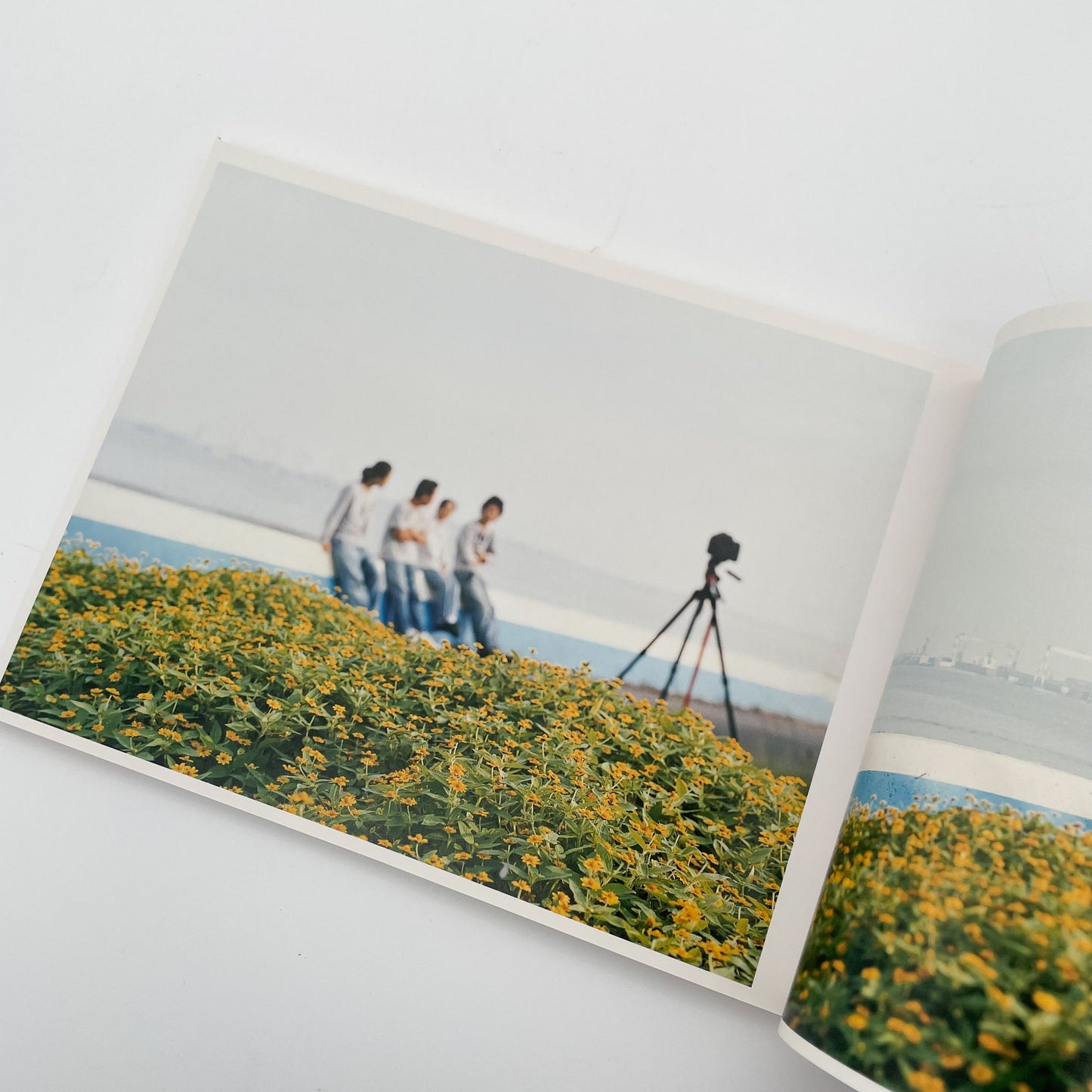 浅田政志 浅田家 - 文福