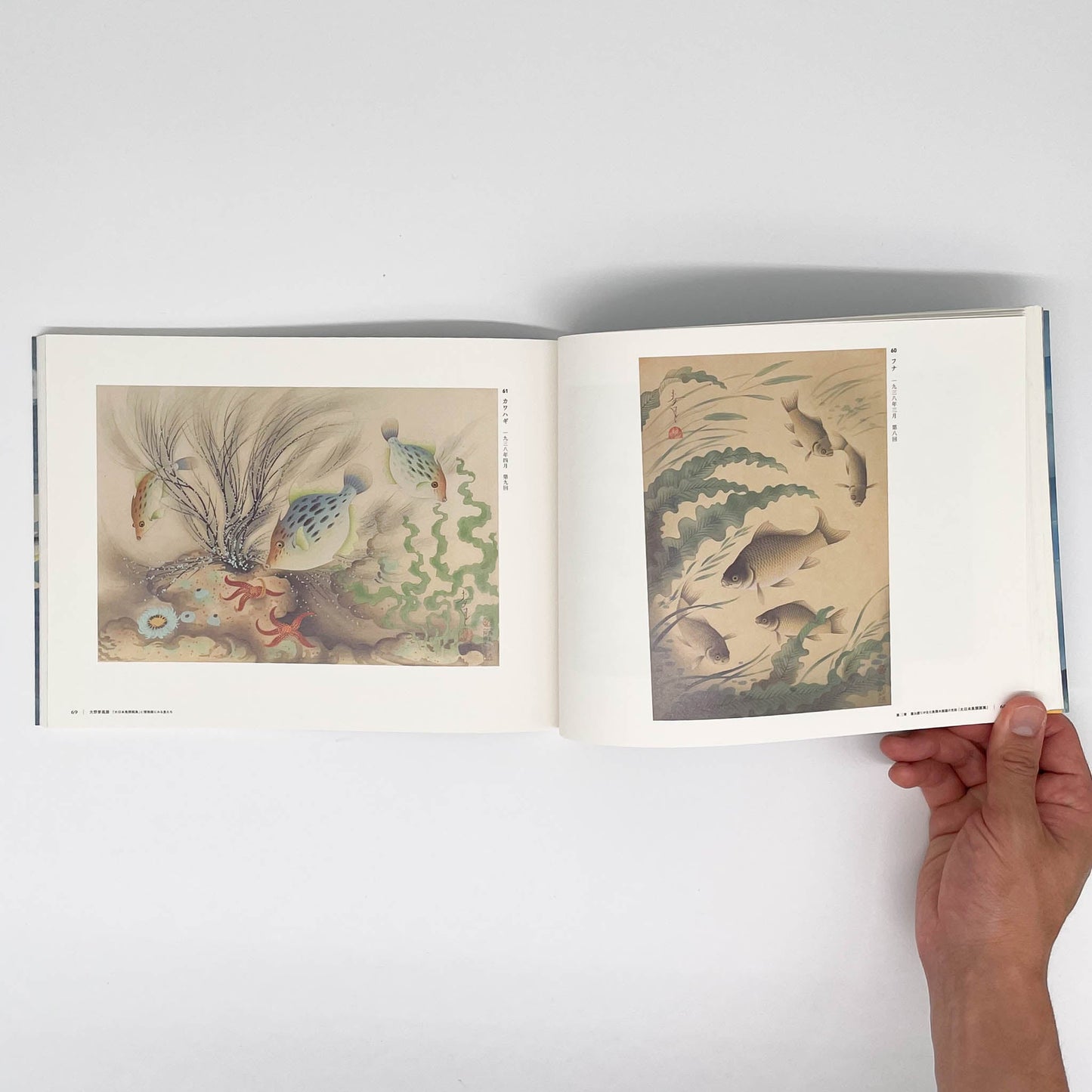 大野麥風展 「大日本魚類画集」と博物画にみる魚たち 東京ステーションギャラリー