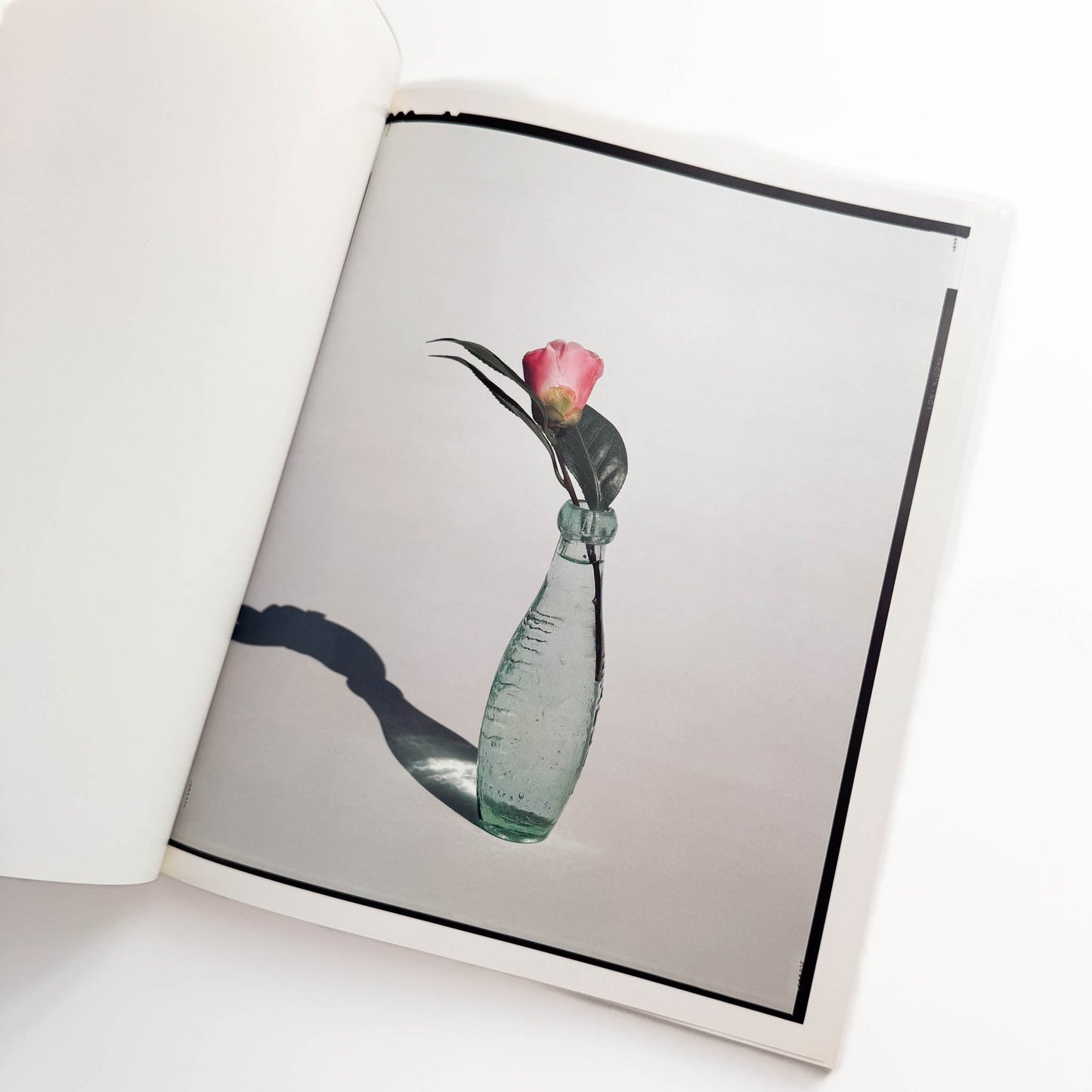 上田義彦 FLOWERS 光琳社出版