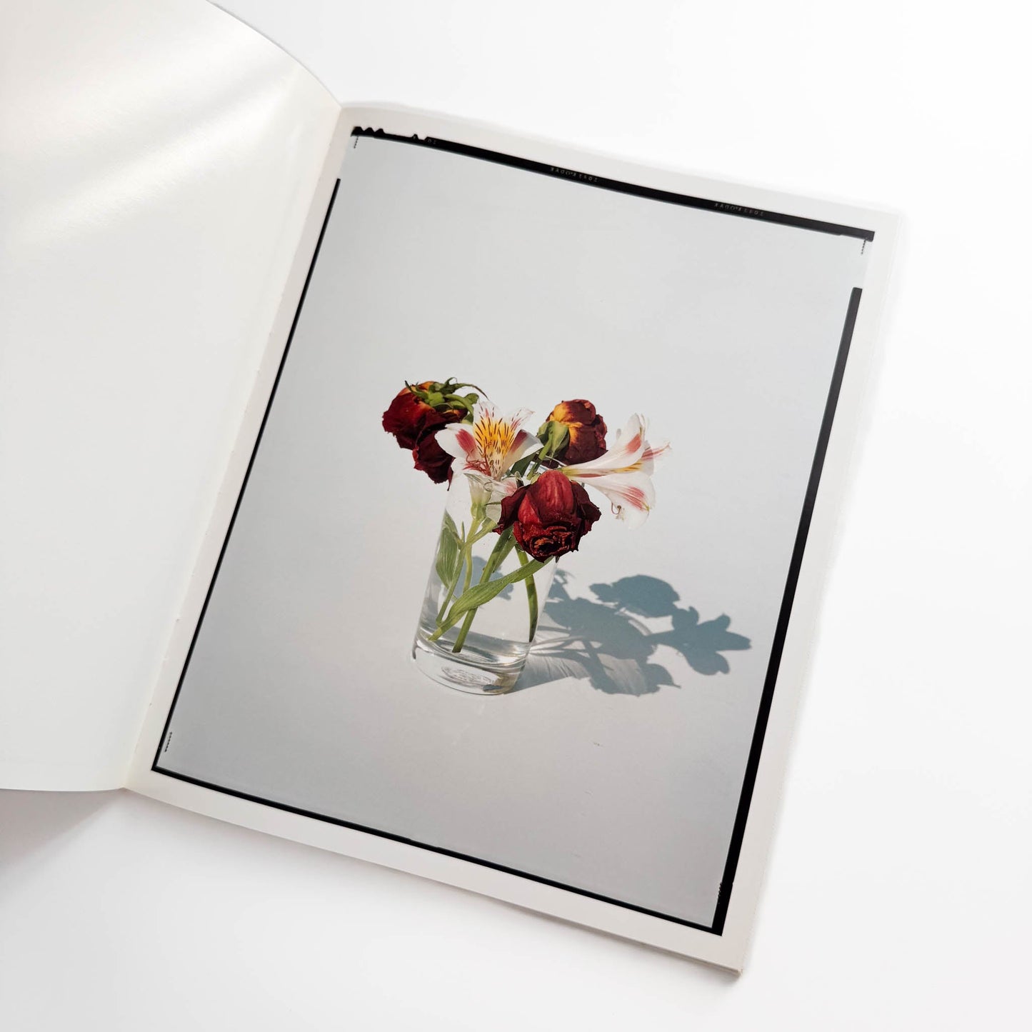 上田義彦 FLOWERS 光琳社出版