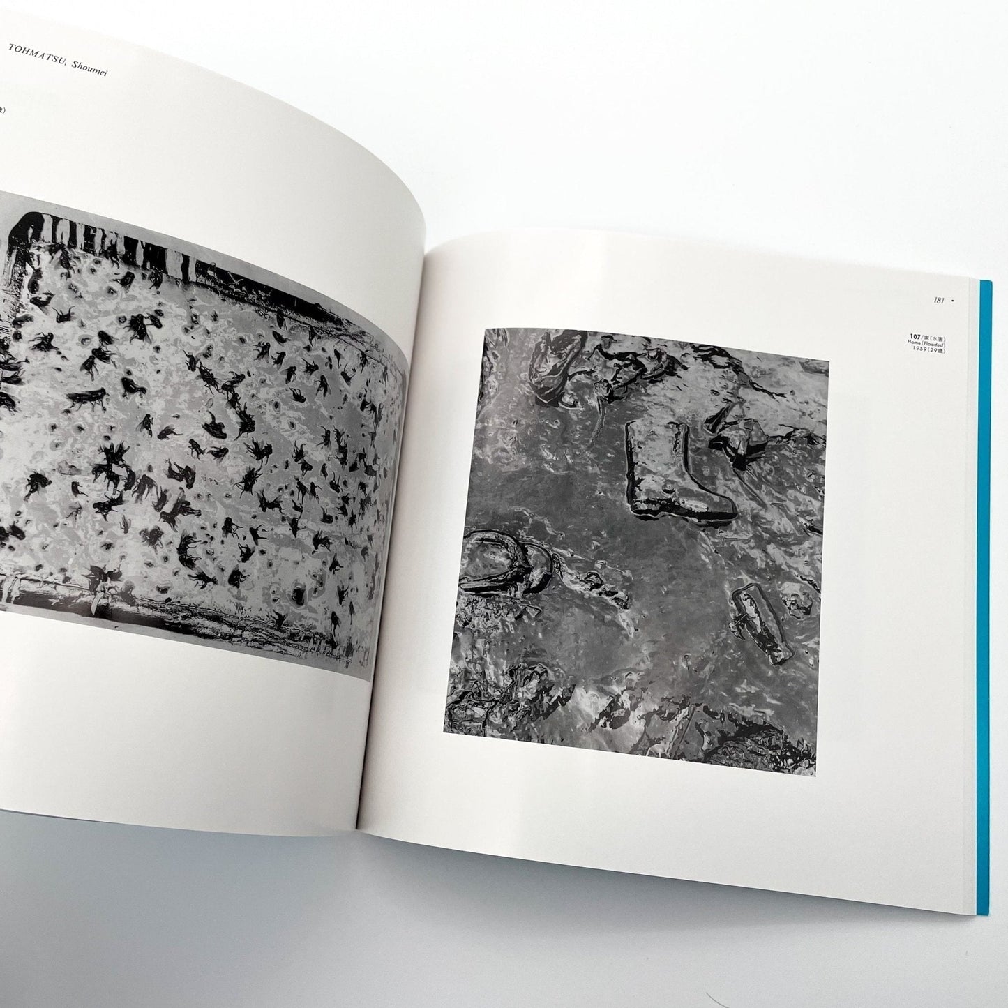 25人の20代の写真 ヤング・ポートフォリオ Works By 25 Photographers in Their 20s - 清里フォトアートミュージアム - 文福