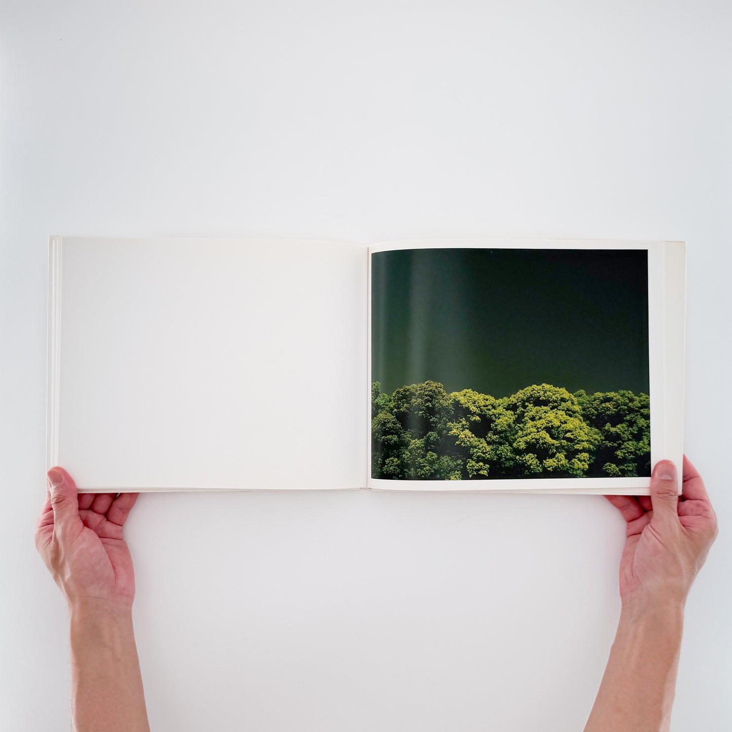 今井智己 : 真昼 In The Middle of The Day|青幻舎 - 文福 BUNBUKU