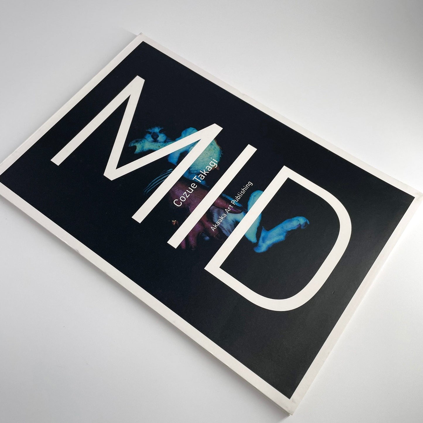高木こずえ MID 赤々舎