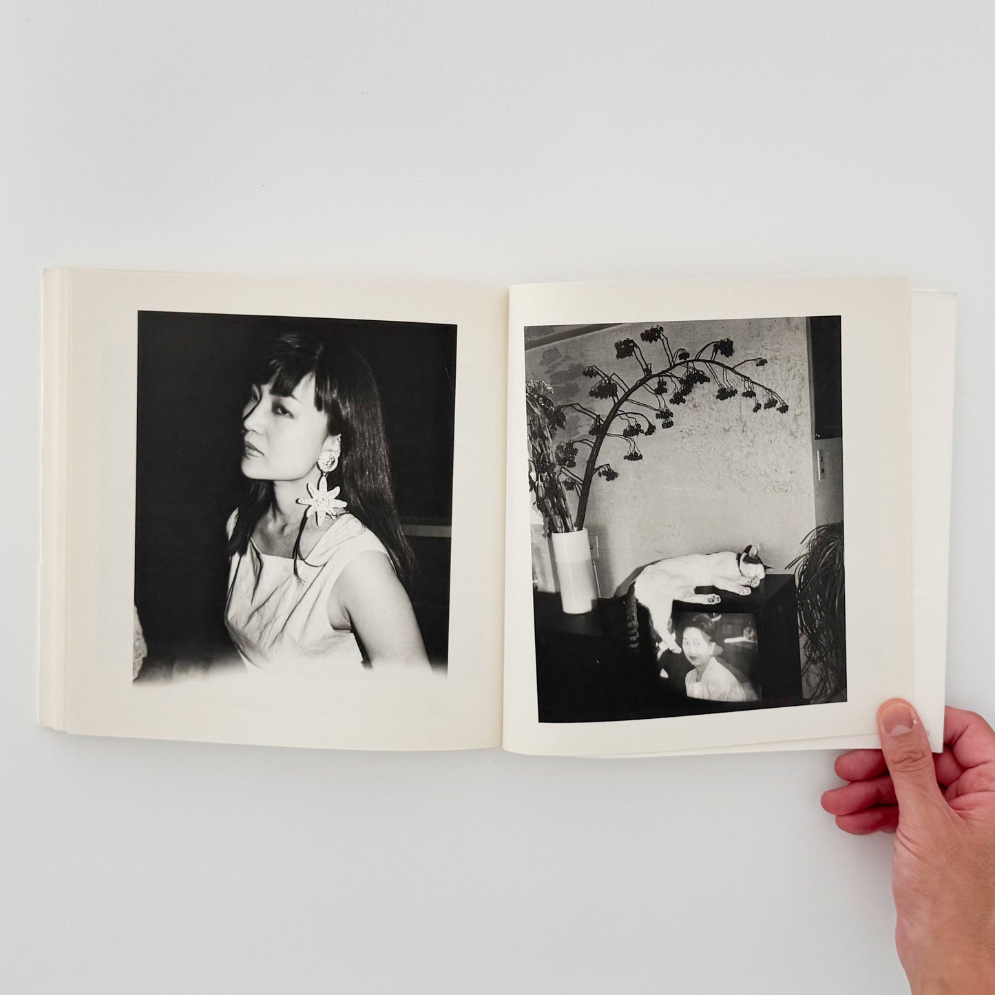 荒木経惟 私写真 朝日新聞社