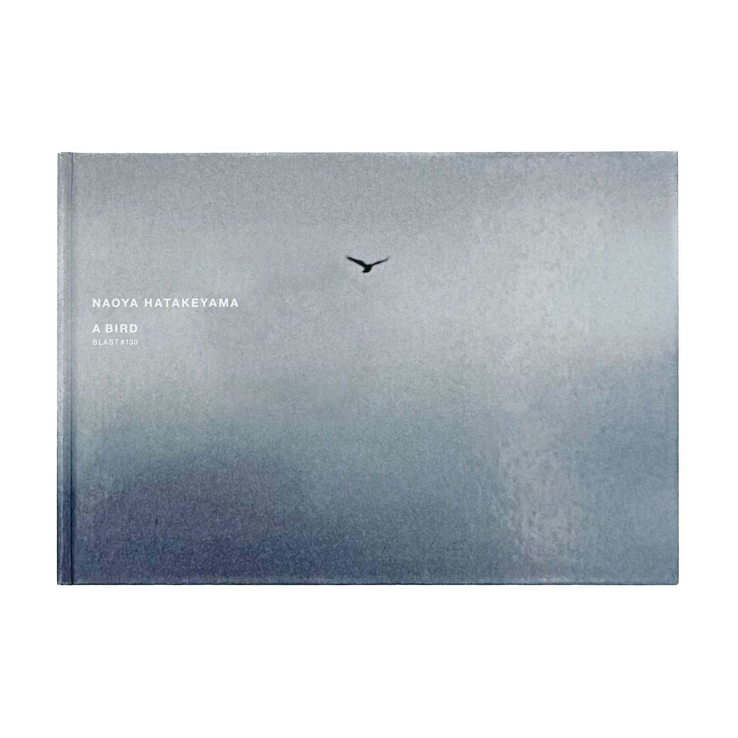 畠山直哉 A BIRD, BLAST #130 Taka Isii Gallery