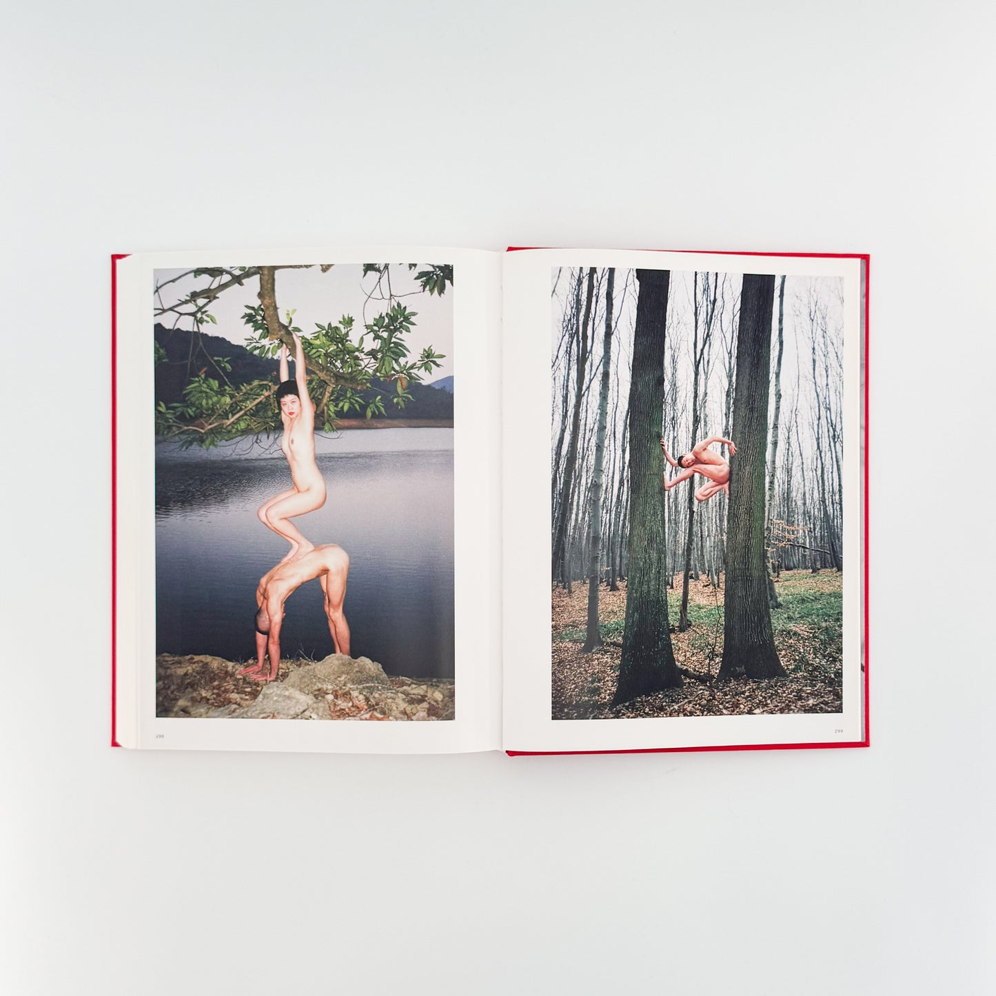 任 航 写真集 Ren HANG(レン・ハン) / TASCHEN (2017)