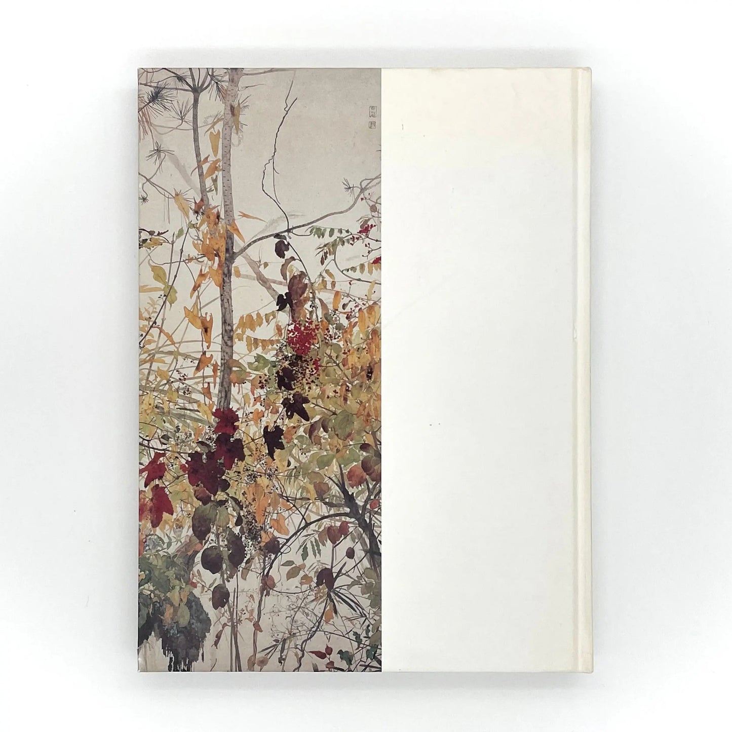 田中一村 新たなる全貌
Isson Tanaka: A New Complete Look