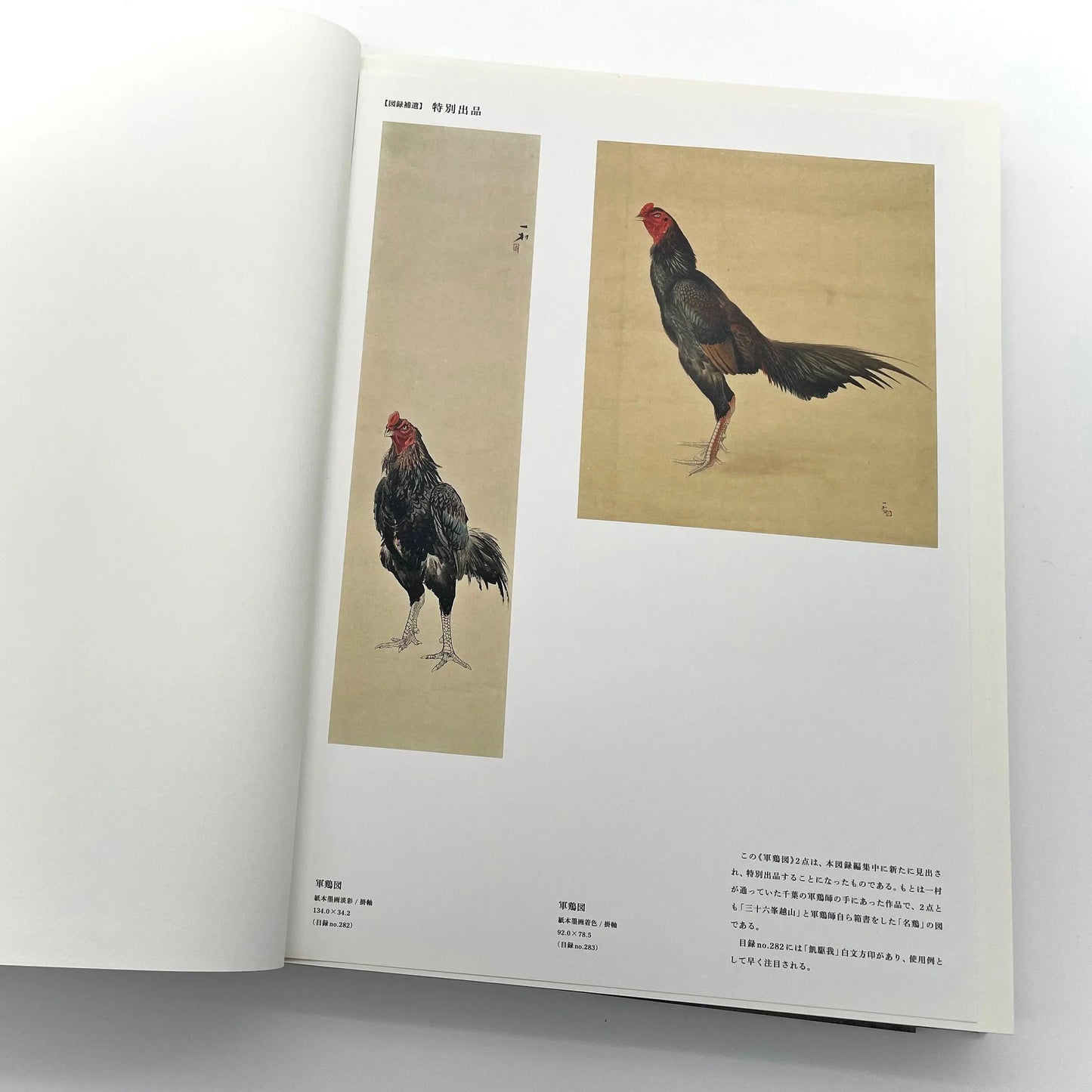 田中一村 新たなる全貌
Isson Tanaka: A New Complete Look