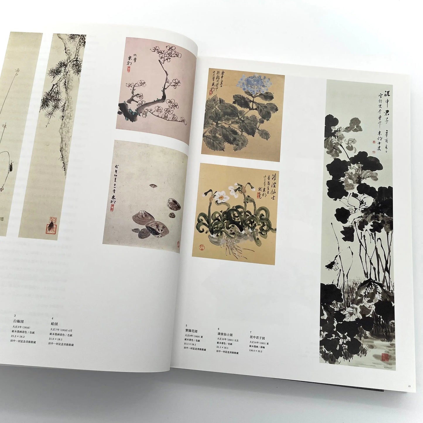 田中一村 新たなる全貌
Isson Tanaka: A New Complete Look
