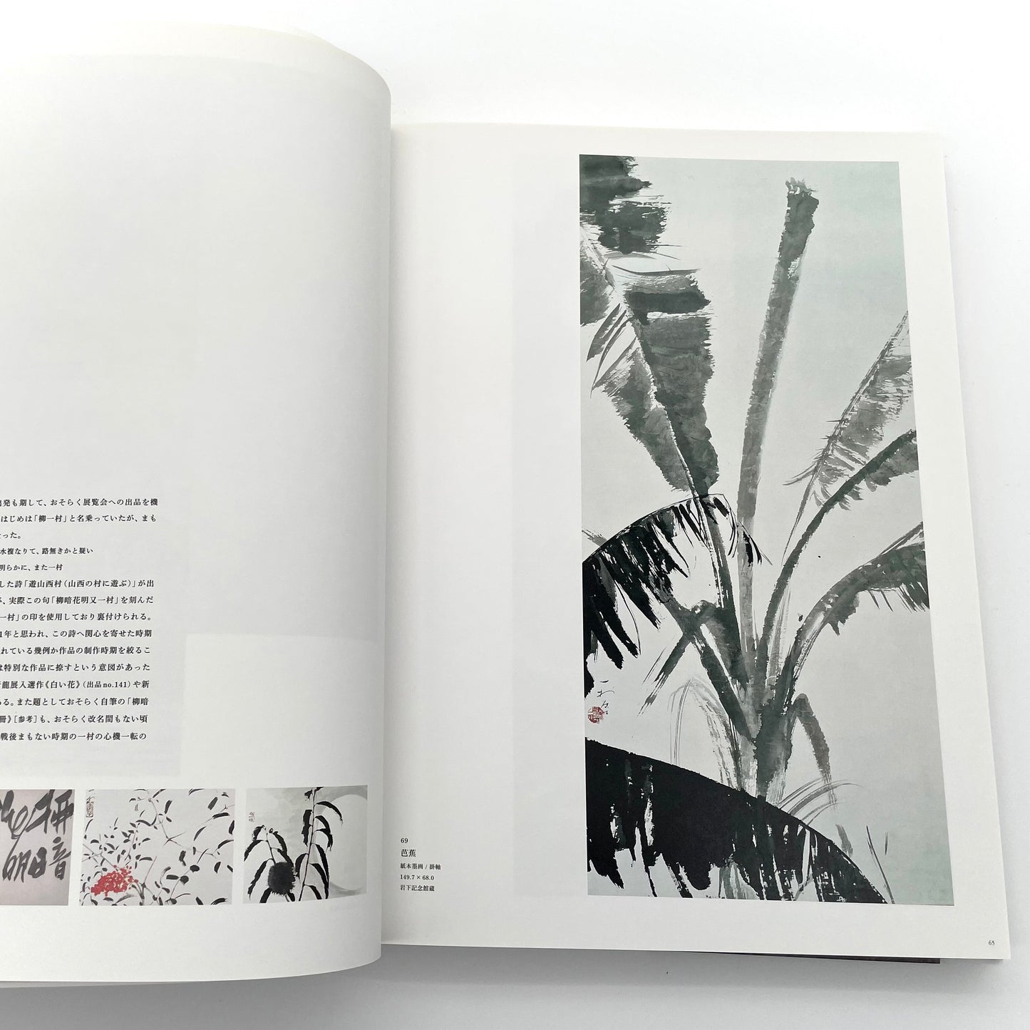田中一村 新たなる全貌
Isson Tanaka: A New Complete Look
