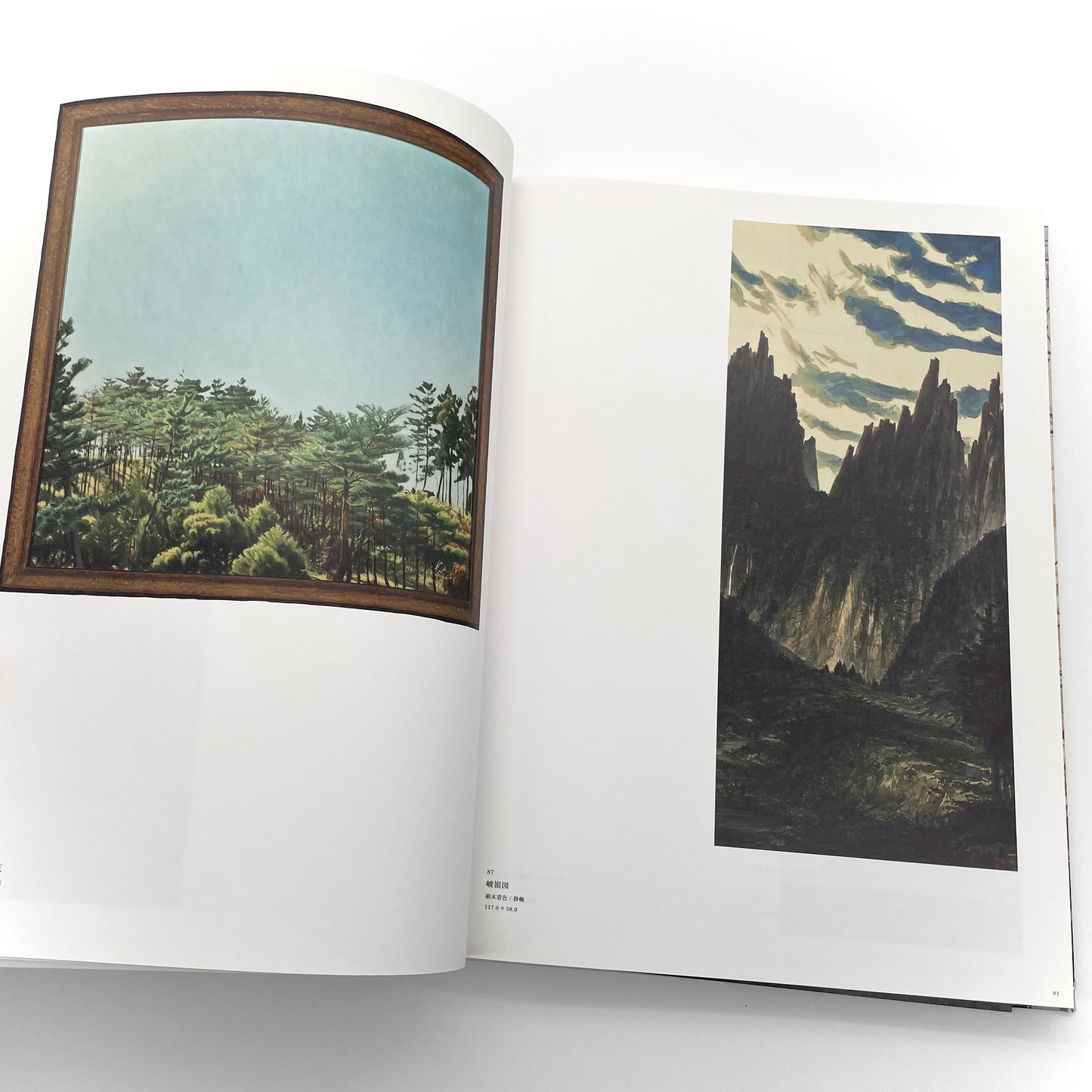田中一村 新たなる全貌
Isson Tanaka: A New Complete Look