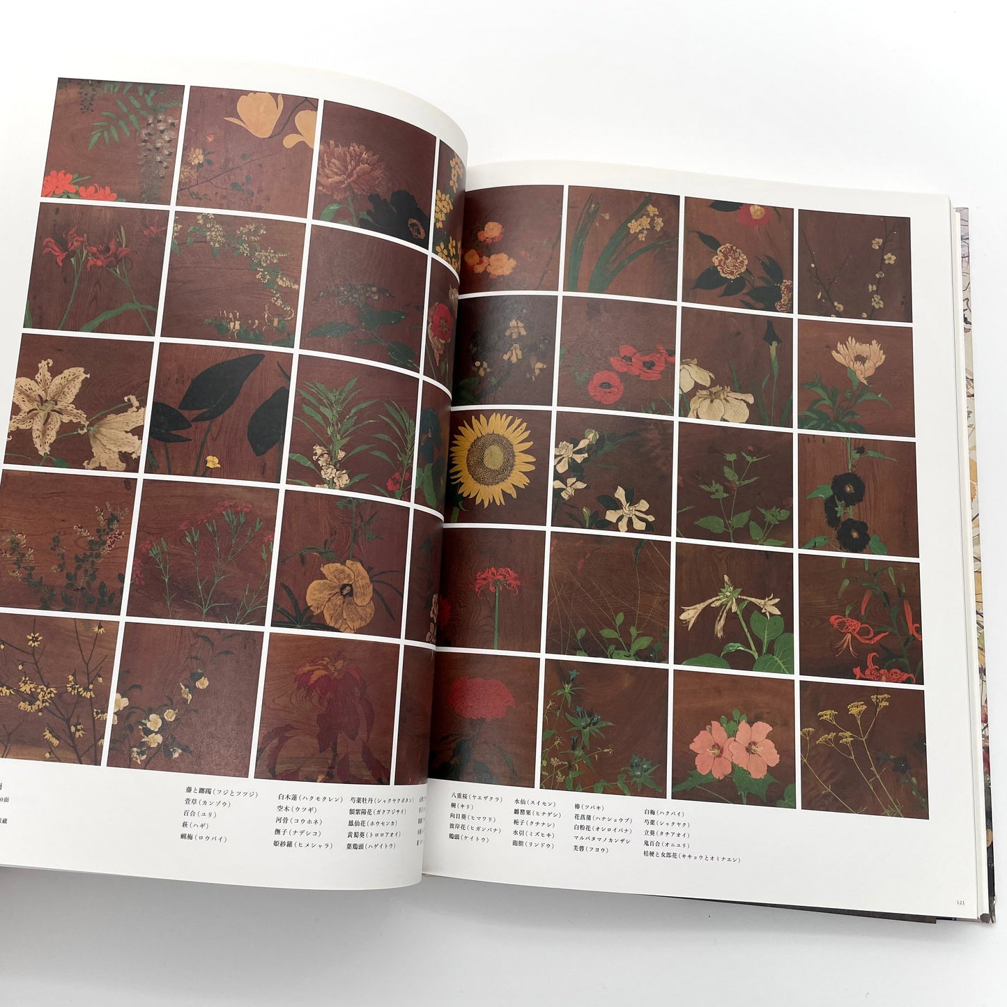田中一村 新たなる全貌
Isson Tanaka: A New Complete Look