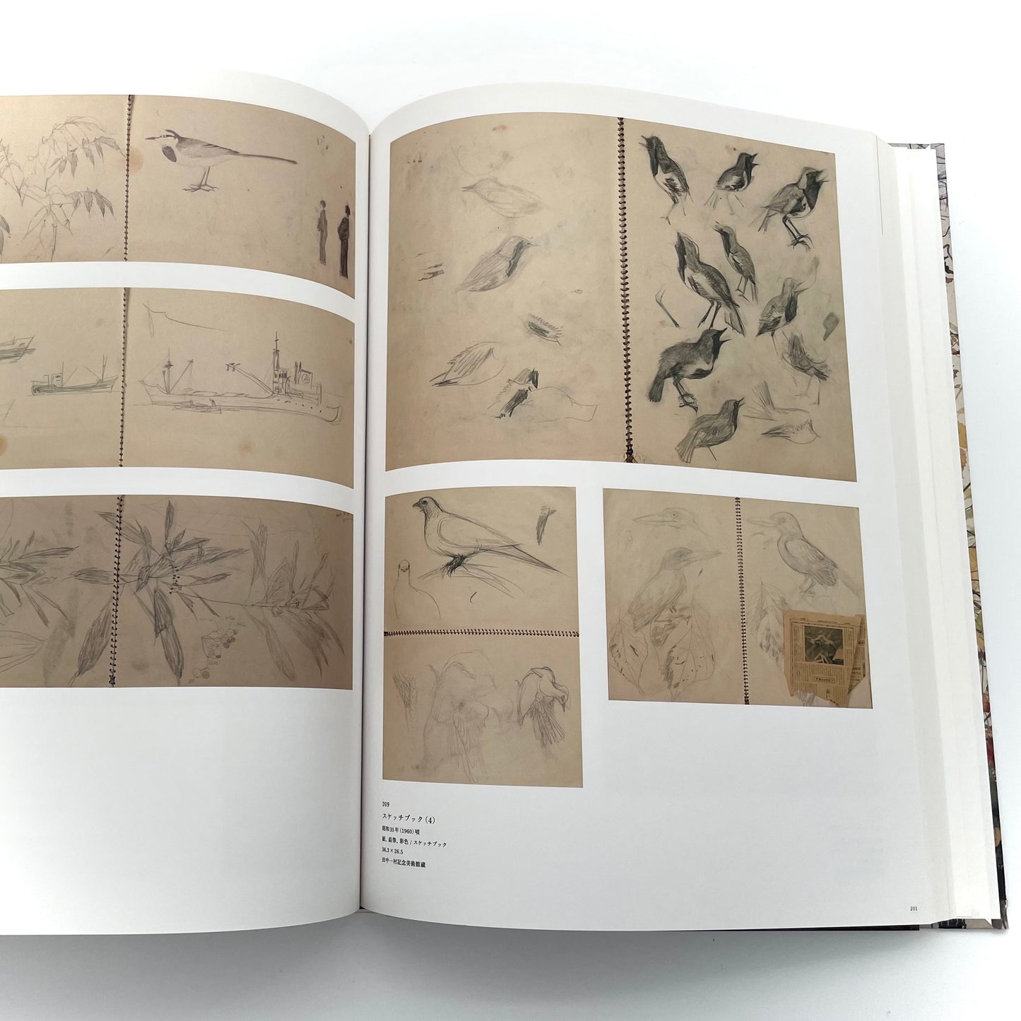田中一村 新たなる全貌
Isson Tanaka: A New Complete Look