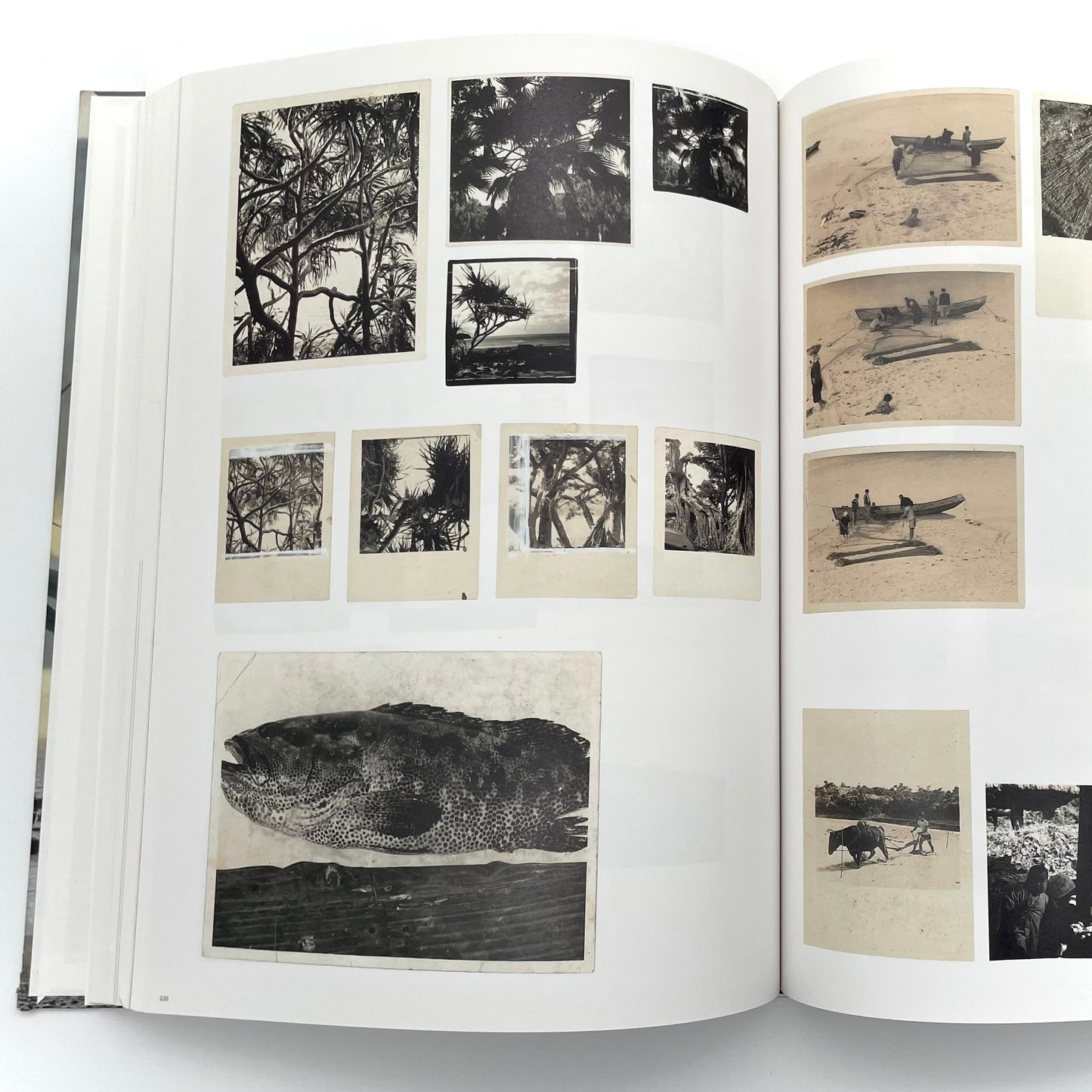 田中一村 新たなる全貌
Isson Tanaka: A New Complete Look