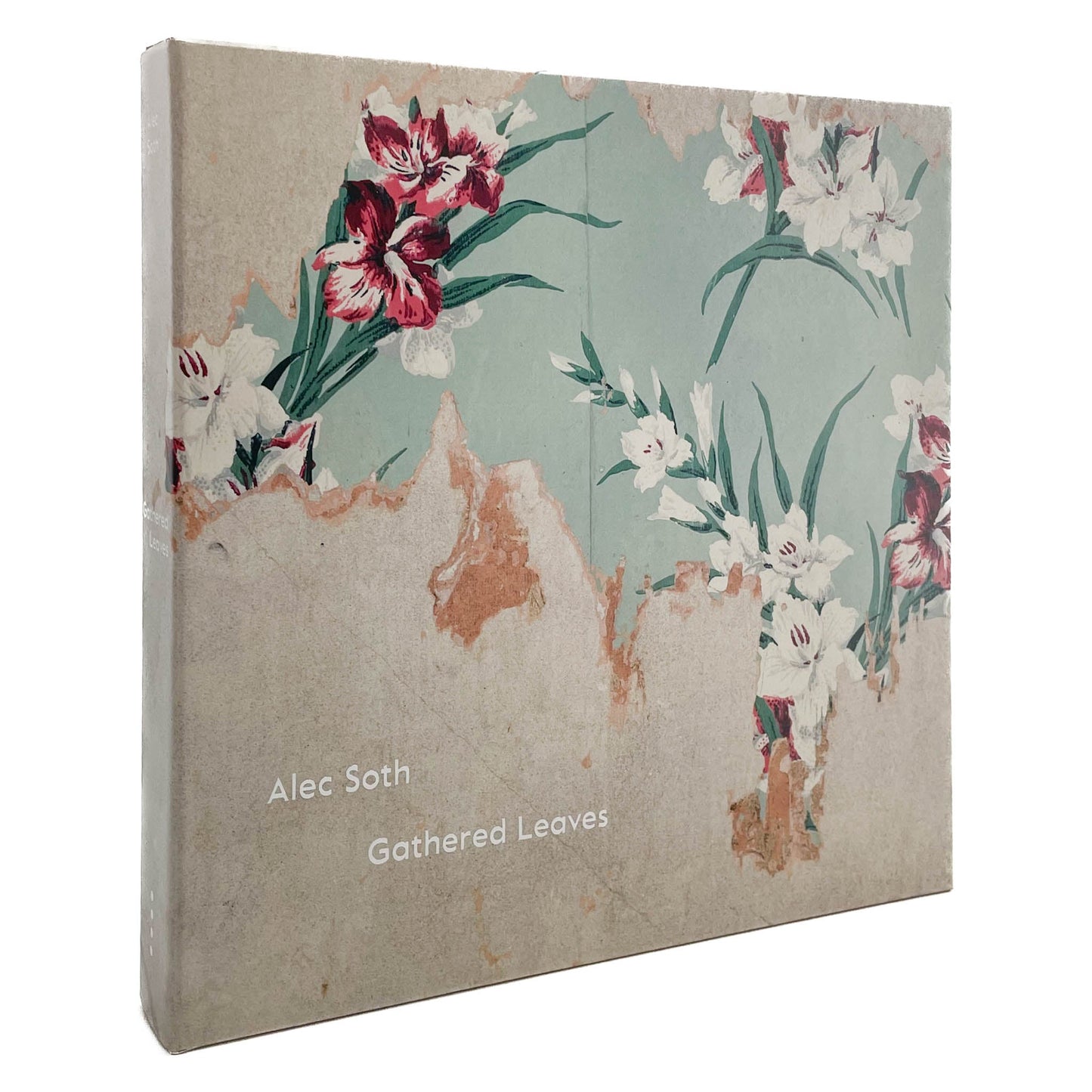 Alec Soth Gathered Leaves(サイン入り) MACK