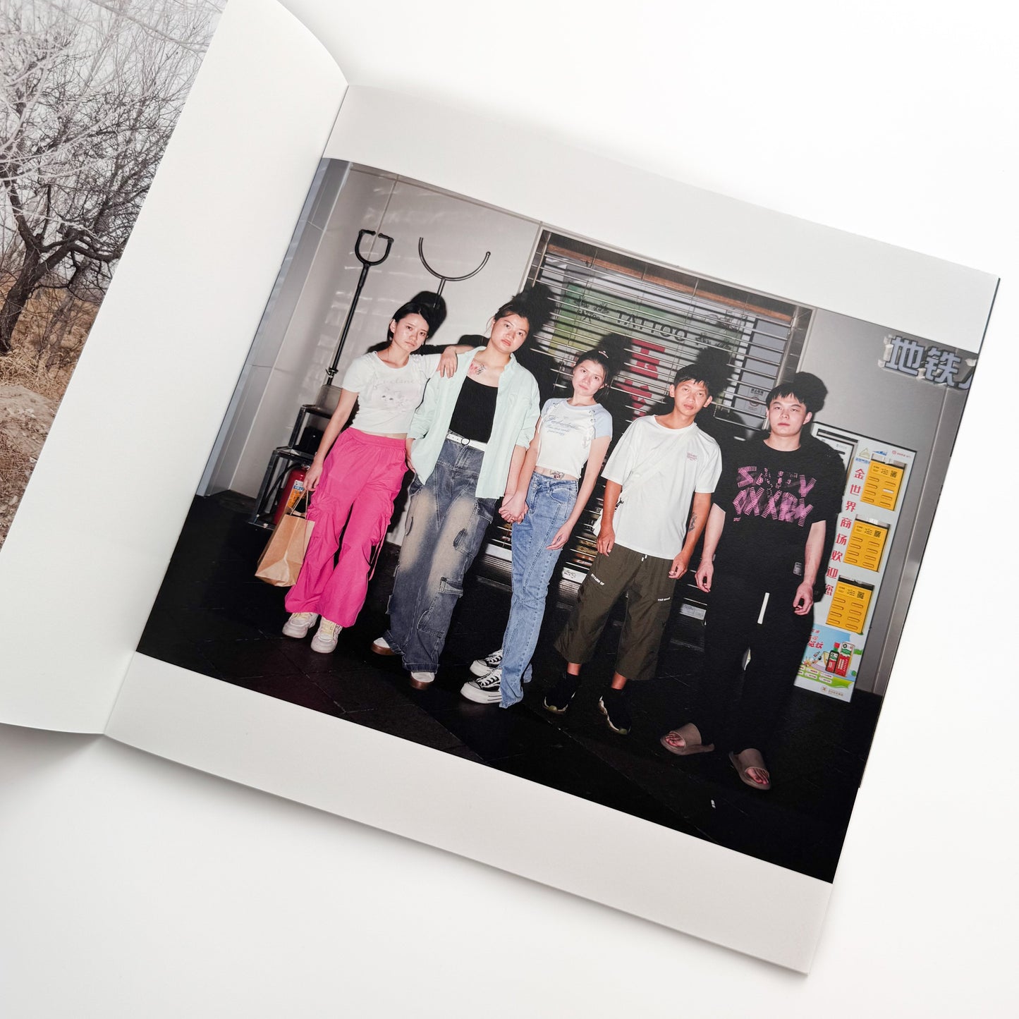 宛超凡 帰去来 The Return Wan Publishing