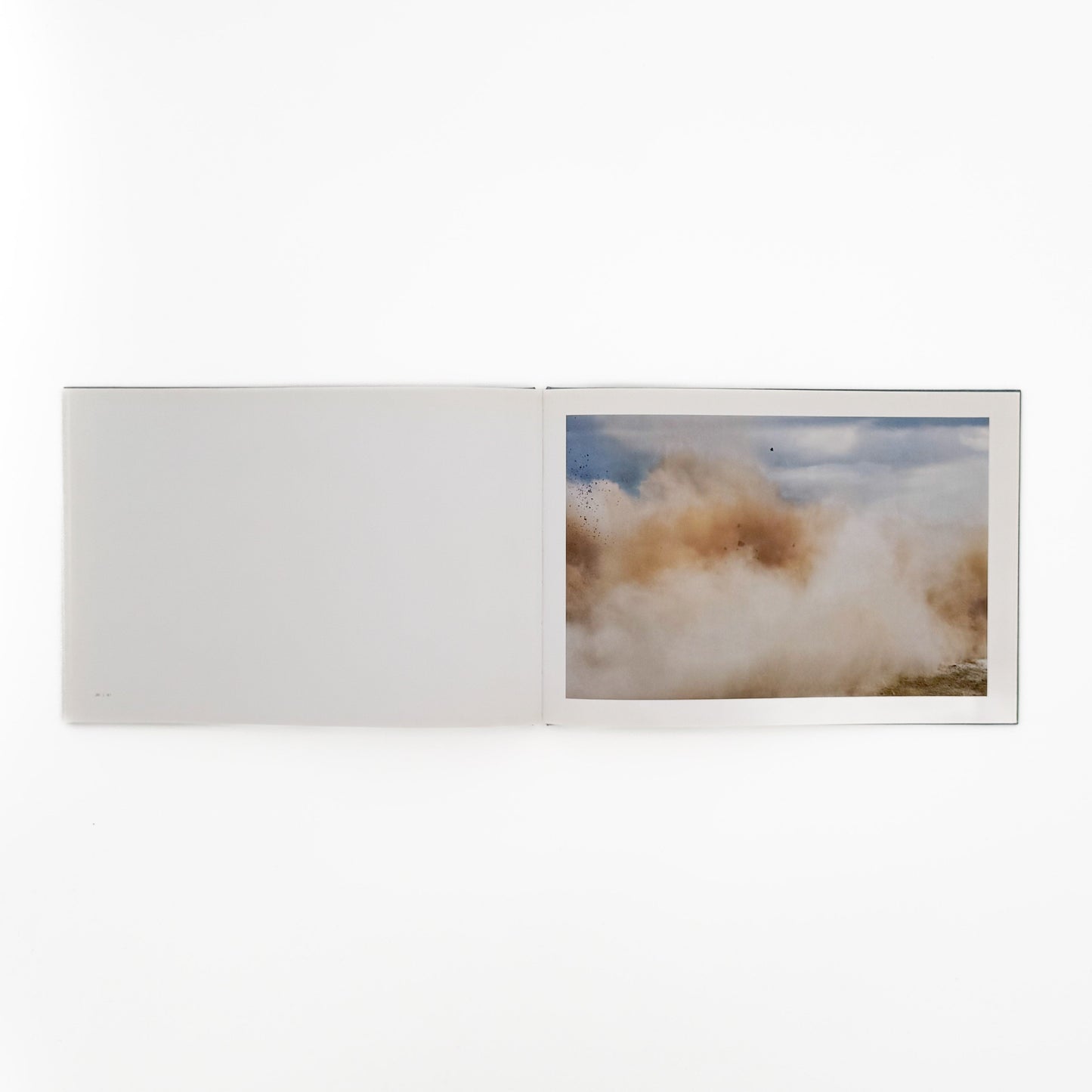 畠山直哉 A BIRD, BLAST #130 Taka Isii Gallery