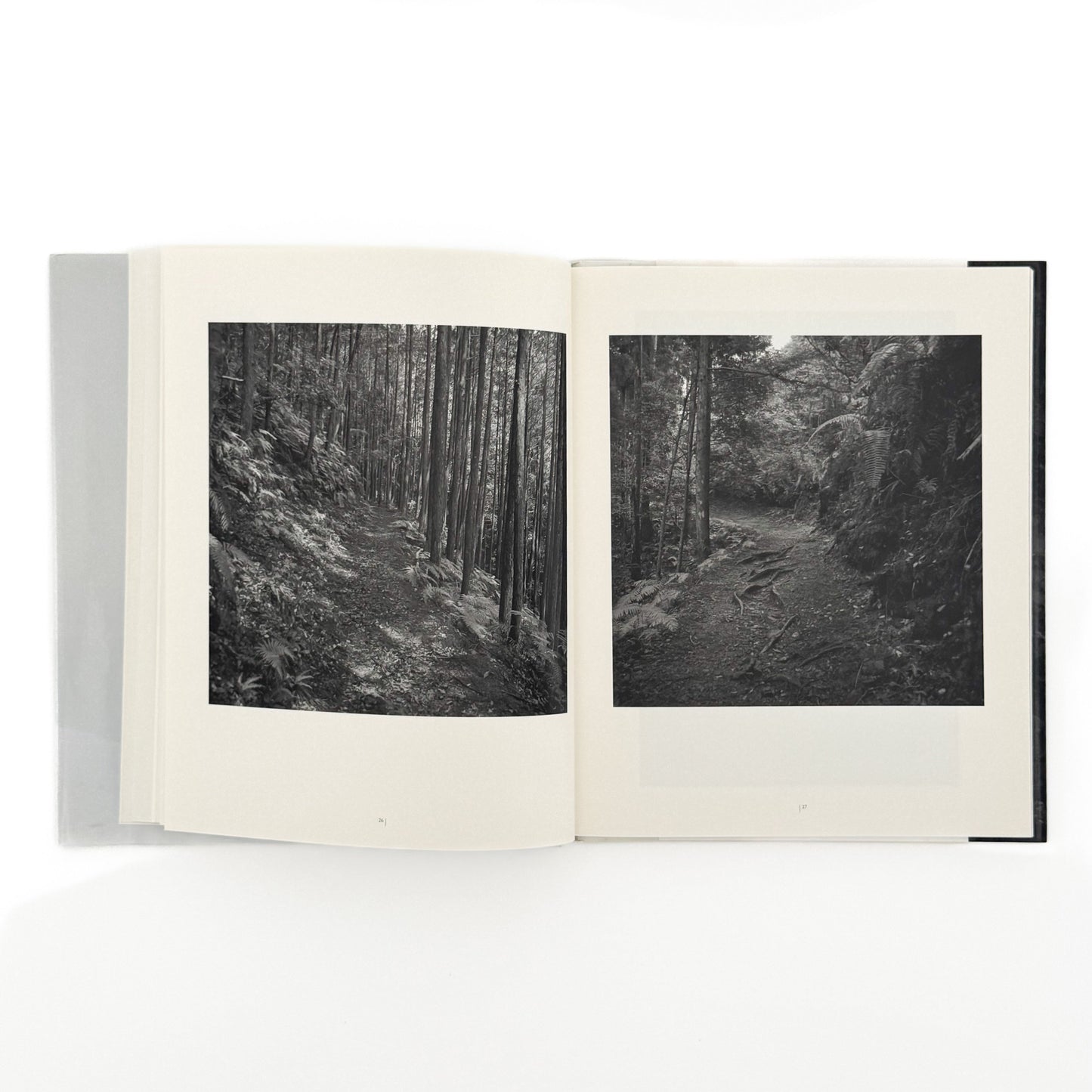 (独英文)畠山直哉 、バルタザール・ブルクハルト写真展図録 二つの山 Executive Committee of Two Mountains