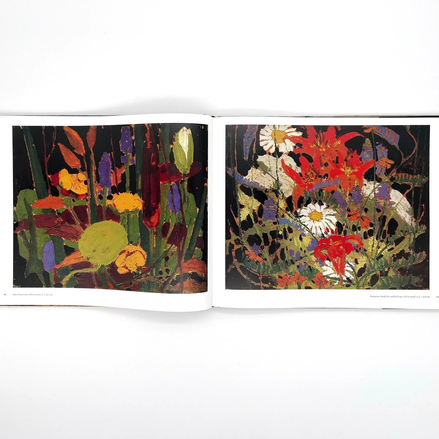 トム・トムソン画集 沈黙と嵐 Collins