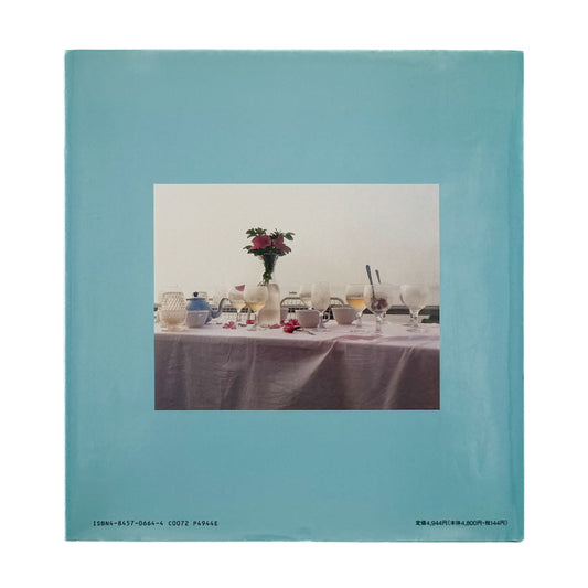 ジョエル・マイヤーウィッツ A Summer’s Day(リブロポート版) リブロポート