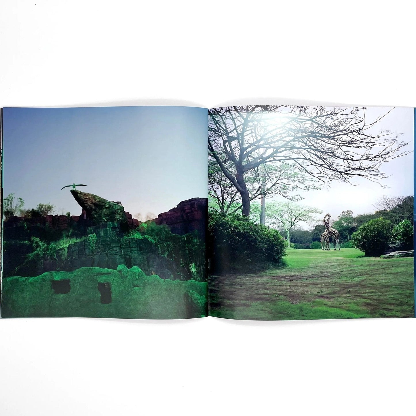 李政徳写真集 INVISIBLE WORLD - STAIRS PRESS - 文福