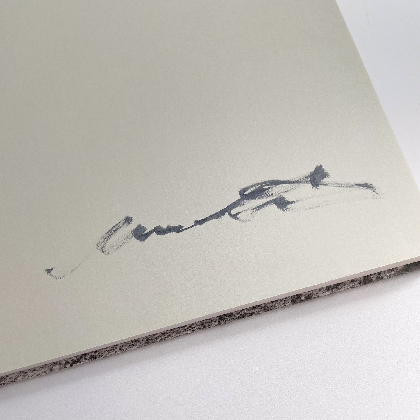 松江泰治 Hysteric 松江泰治(サイン入り) ヒステリックグラマー