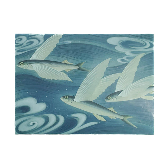 大野麥風展 「大日本魚類画集」と博物画にみる魚たち - 東京ステーションギャラリー - 文福