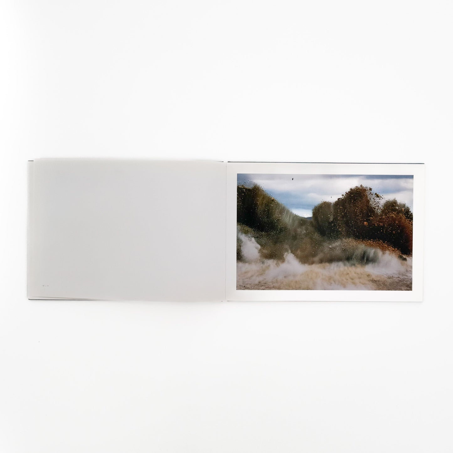 畠山直哉 A BIRD, BLAST #130 Taka Isii Gallery
