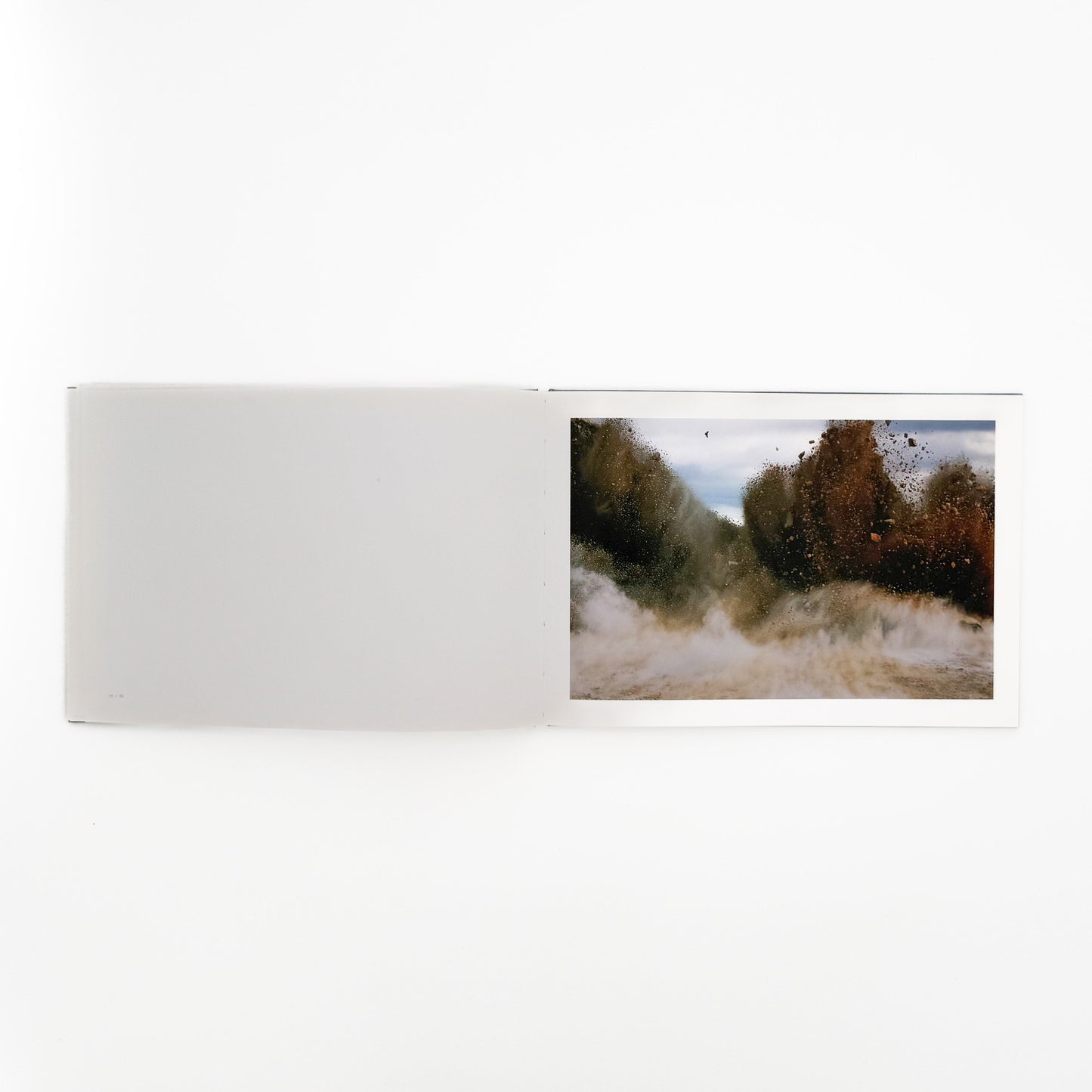 畠山直哉 A BIRD, BLAST #130 Taka Isii Gallery