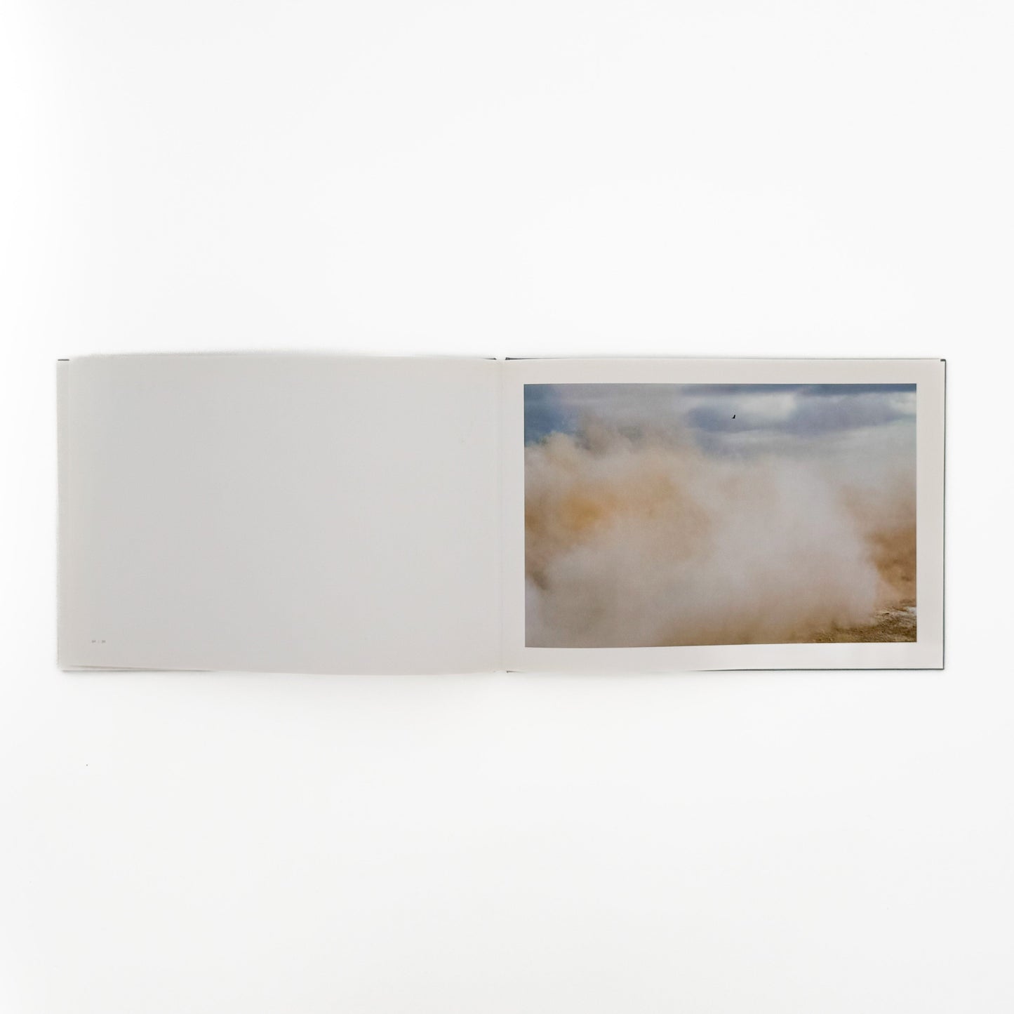 畠山直哉 A BIRD, BLAST #130 Taka Isii Gallery