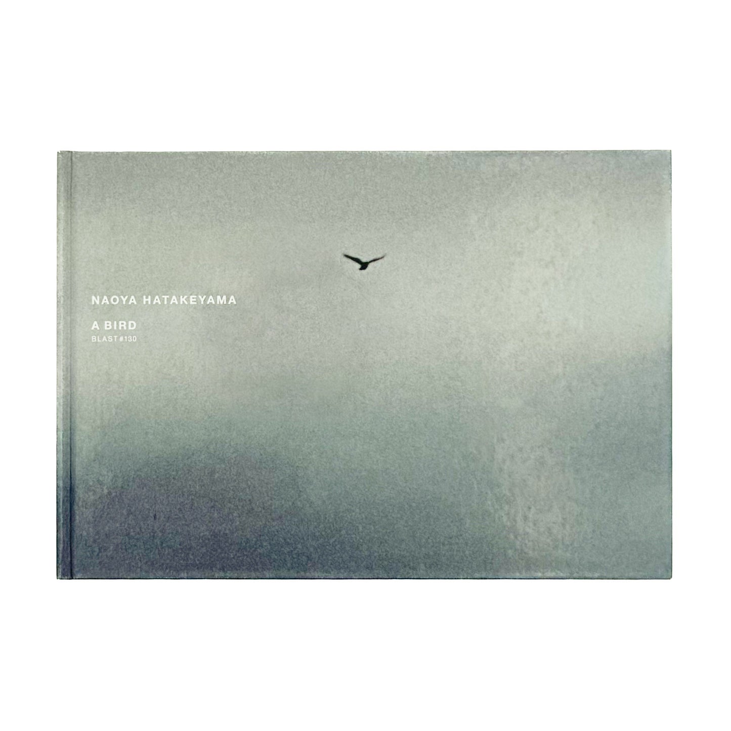 畠山直哉 A BIRD, BLAST #130 Taka Isii Gallery