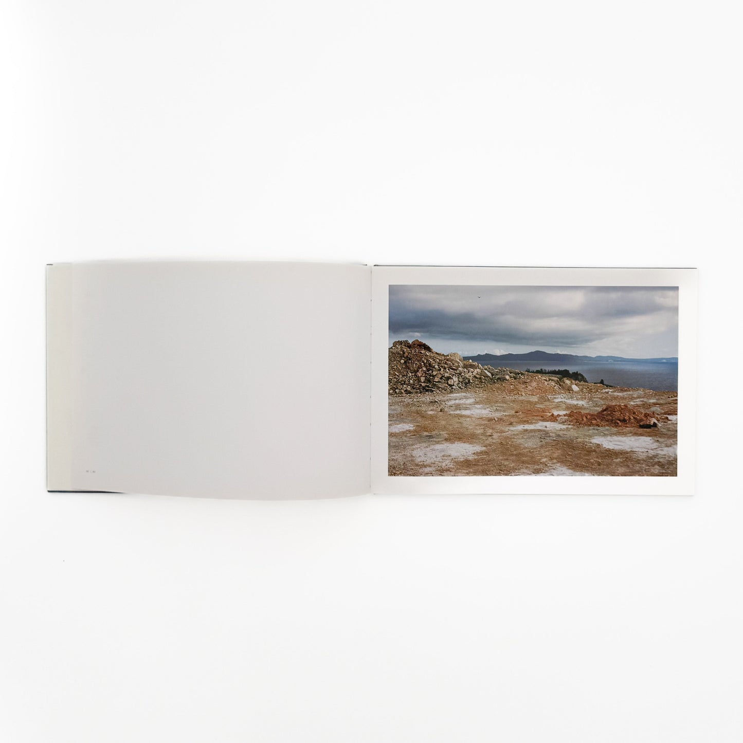畠山直哉 A BIRD, BLAST #130 Taka Isii Gallery