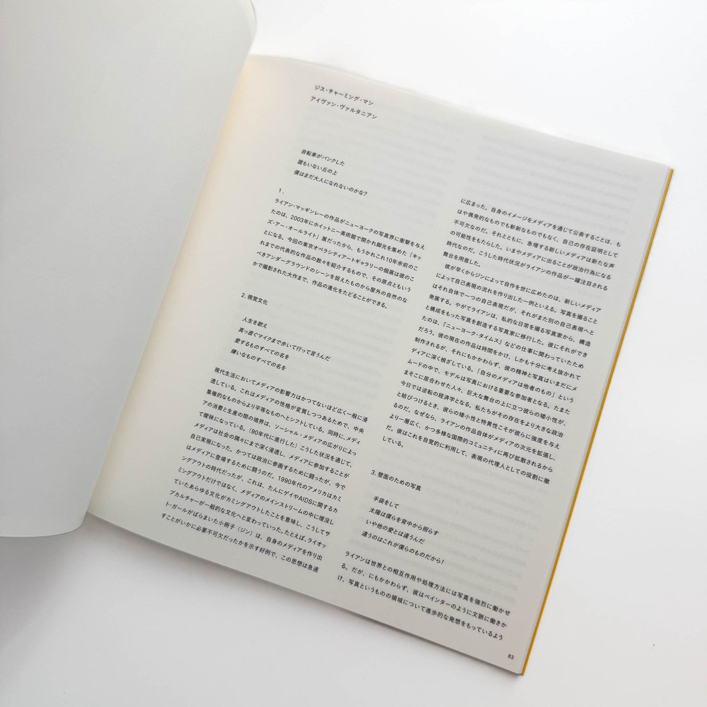 ライアン・マッギンレー展 BODY LOUD ! 東京オペラシティ文化財団