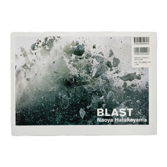 畠山直哉 BLAST 小学館