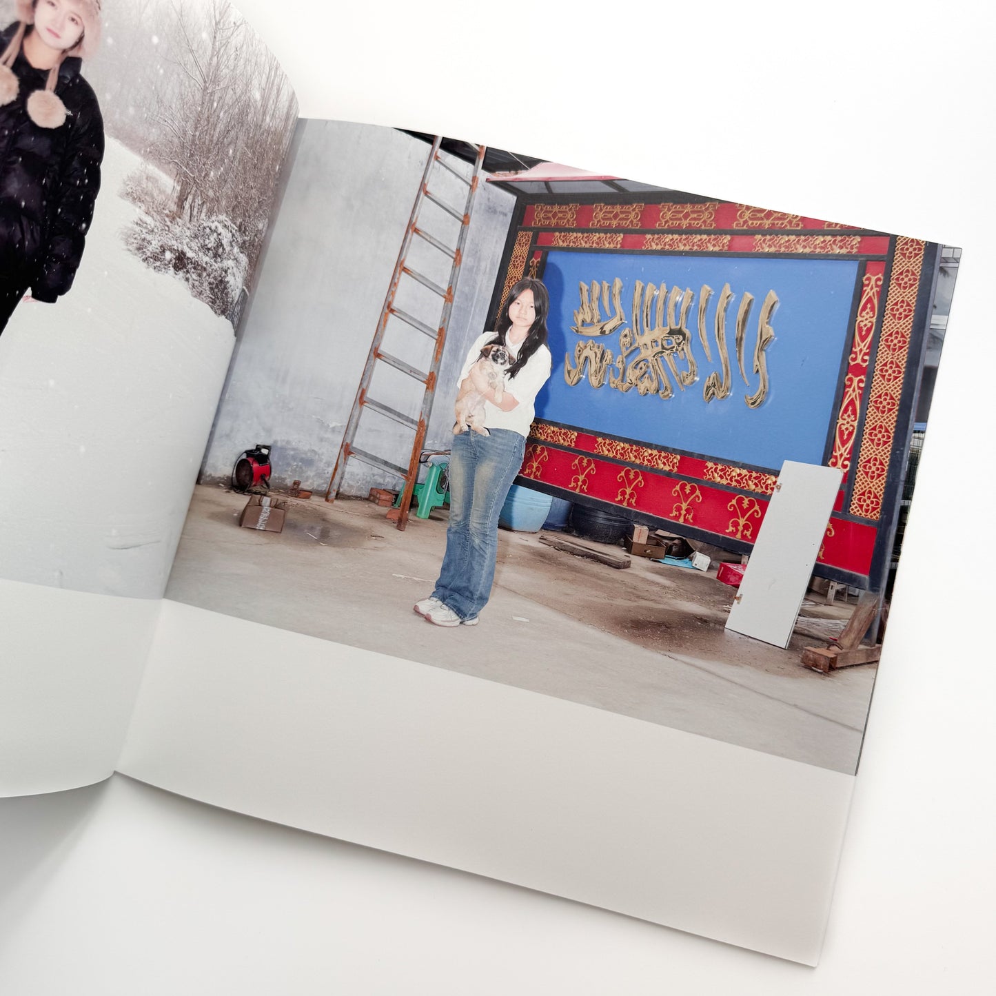 宛超凡 帰去来 The Return Wan Publishing