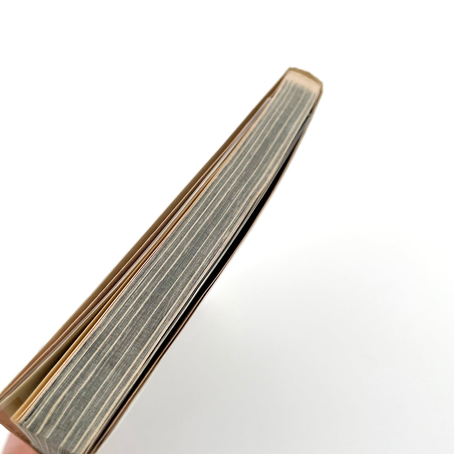 渡辺克巳 新宿群盗伝伝 晩聲社