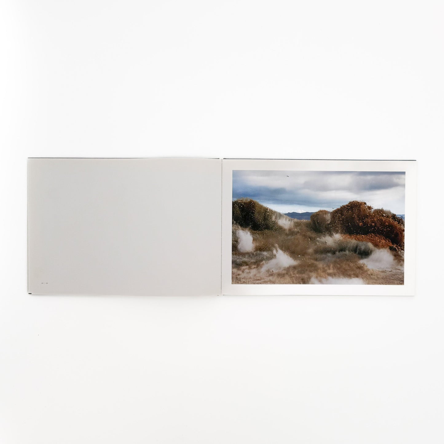畠山直哉 A BIRD, BLAST #130 Taka Isii Gallery