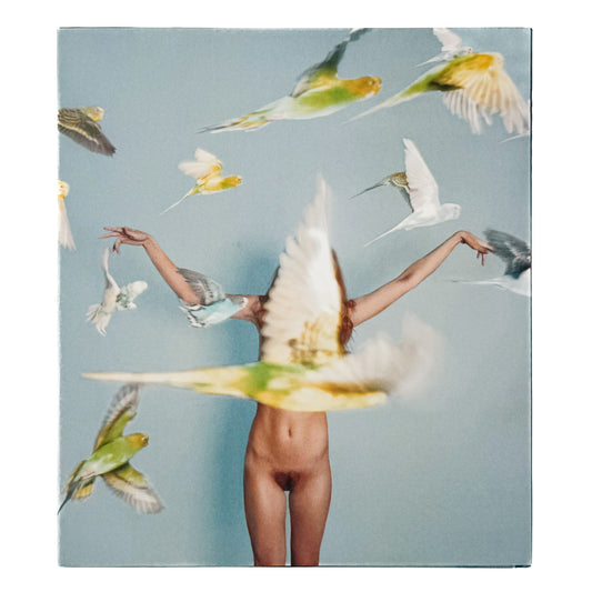 (英文)RYAN MCGINLEY (ライアン・マッギンレー) Whistle for the Wind Rizzoli