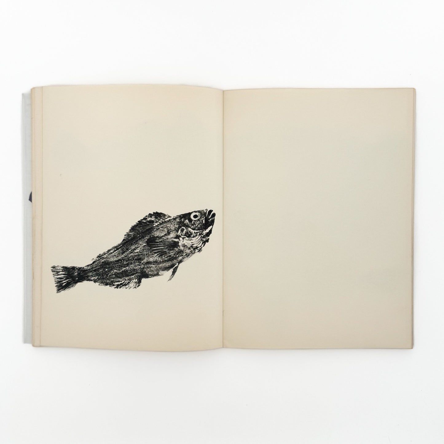永田一脩 魚拓 芸美出版社