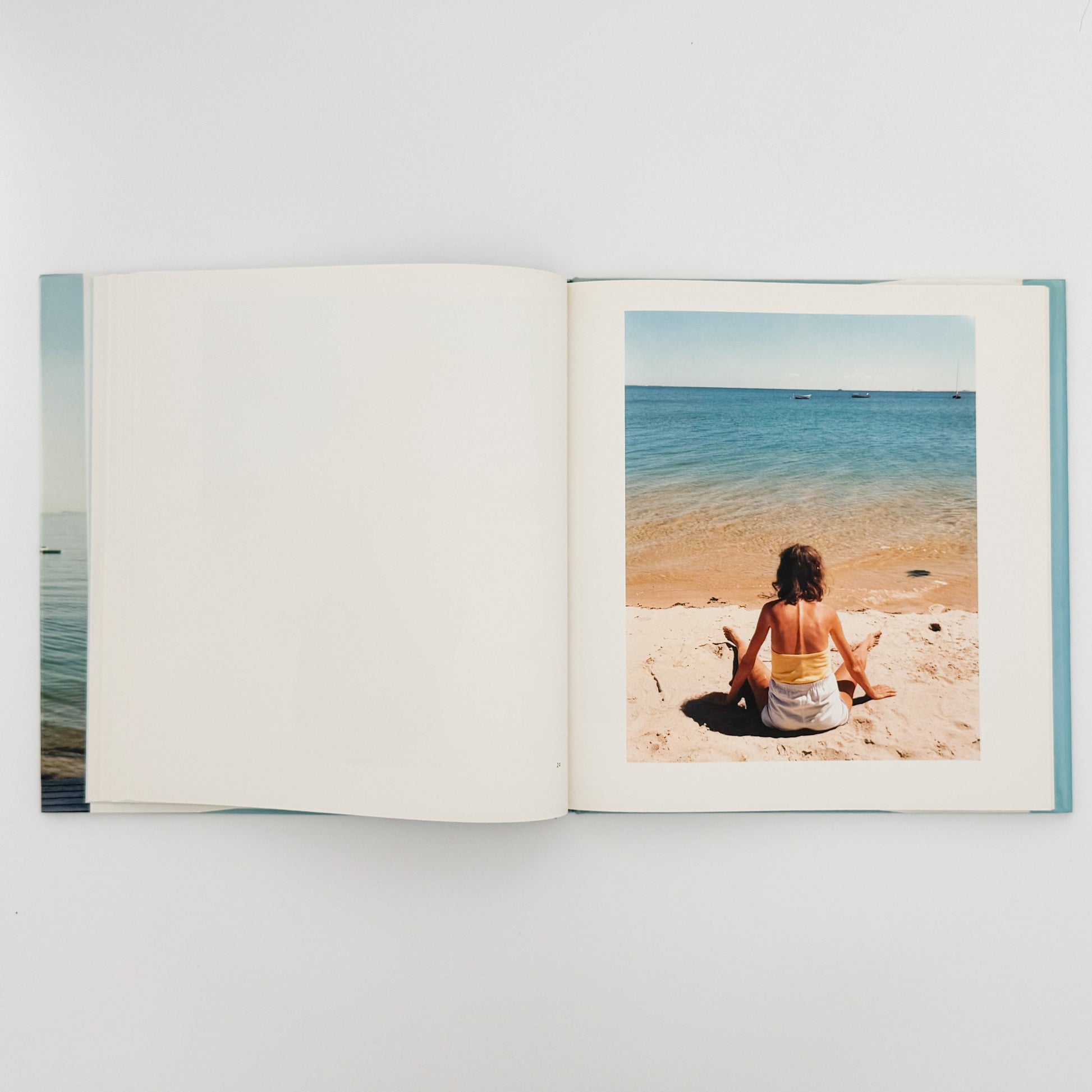 ジョエル・マイヤーウィッツ　A Summer’s Day（リブロポート版） リブロポート