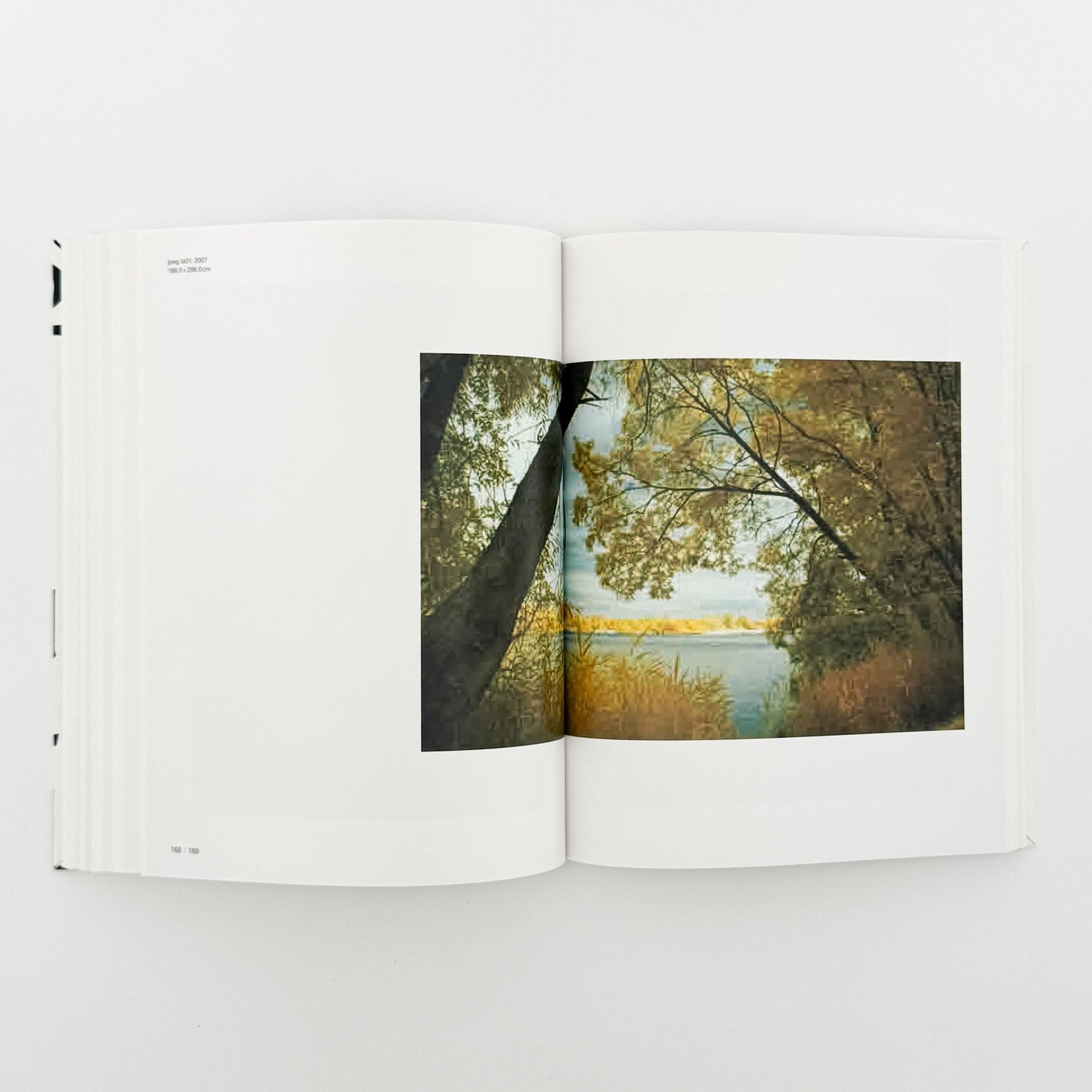 トーマス・ルフ展図録 読売新聞社