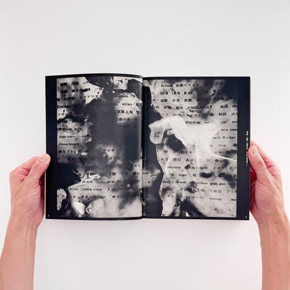 PROVOKE プロヴォーク: Between Protest and Performance - Photography in Japan 1960/1975、Steidl刊行の戦後日本写真展覧会図録