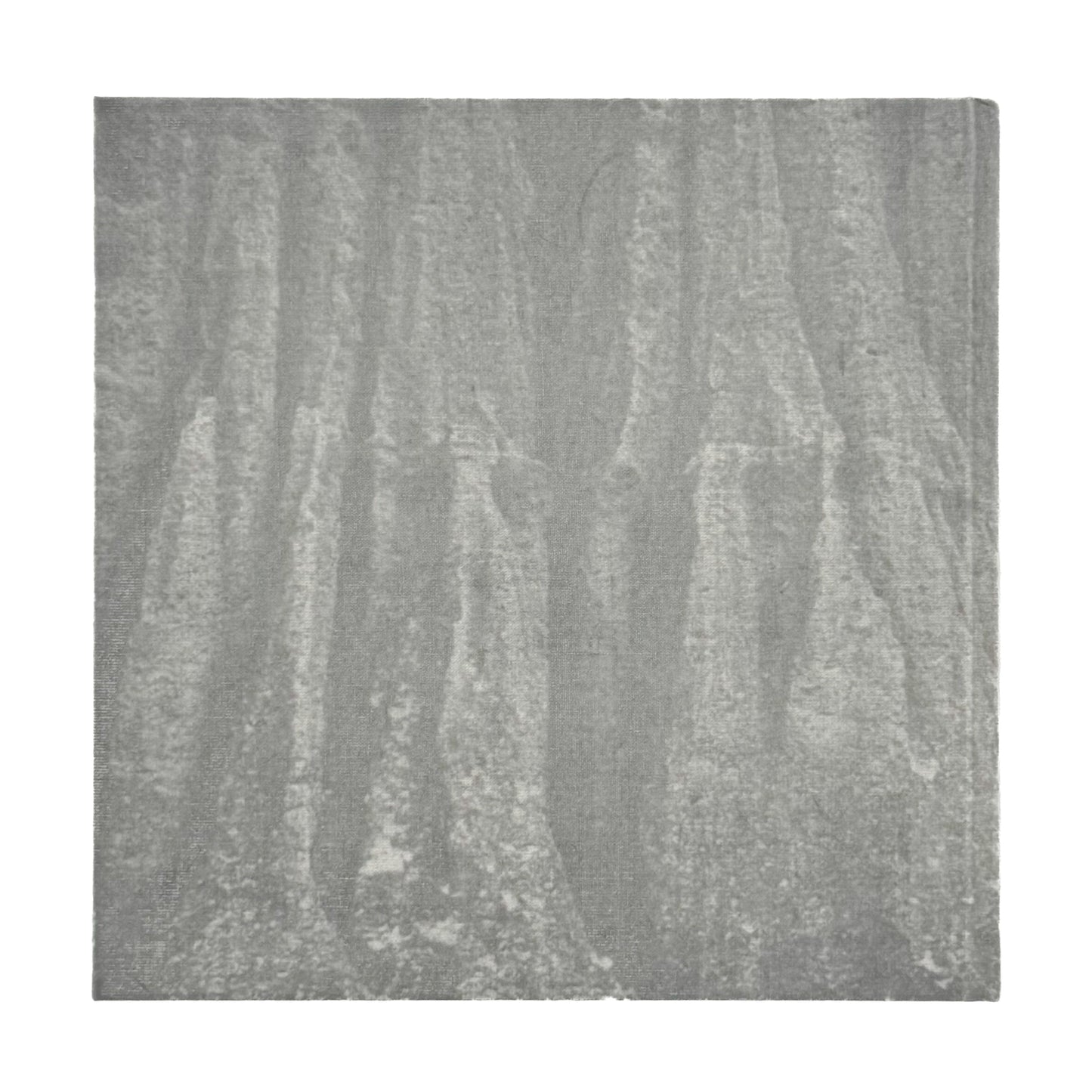 柳沢信　Untitled roshin books