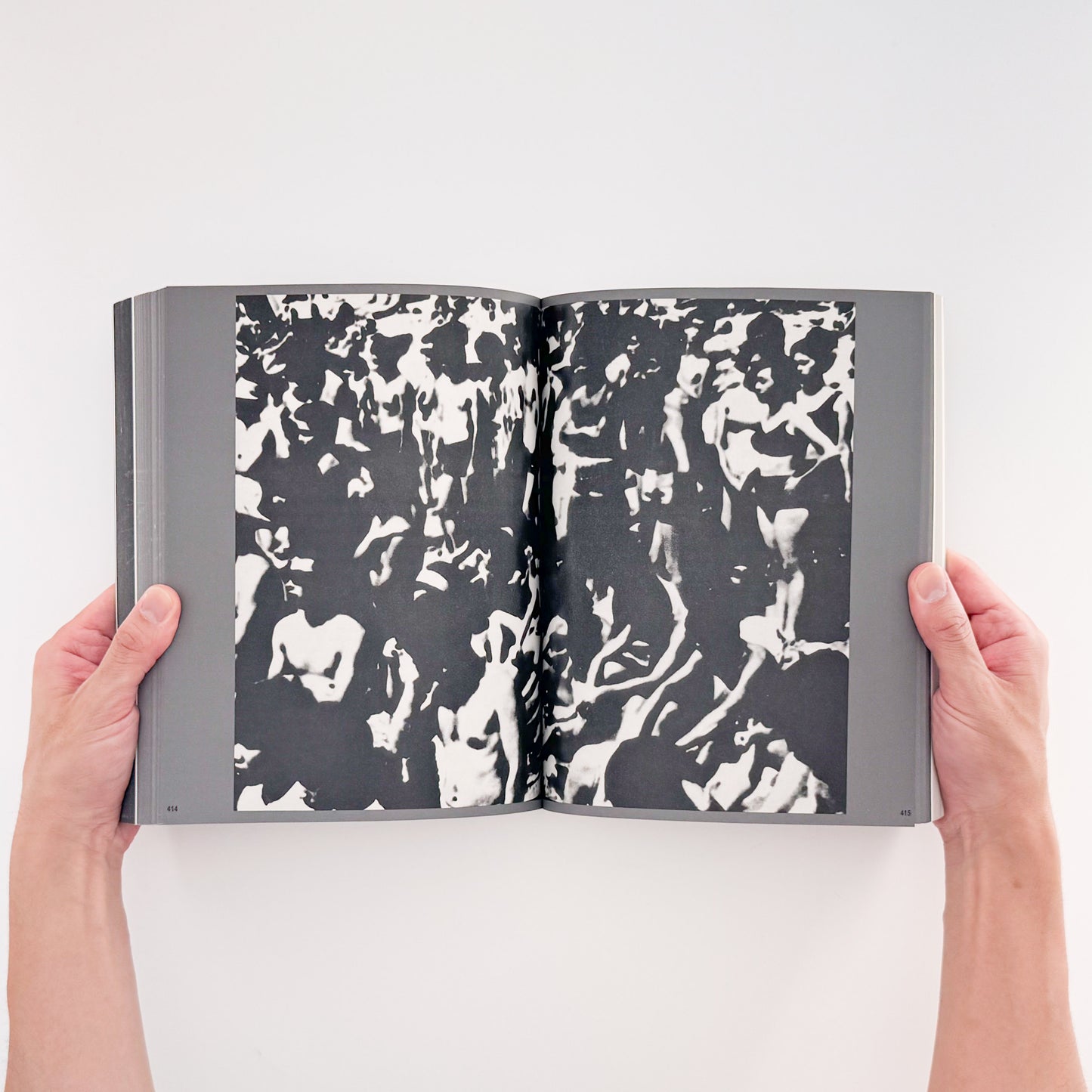 PROVOKE プロヴォーク: Between Protest and Performance - Photography in Japan 1960/1975、Steidl刊行の戦後日本写真展覧会図録