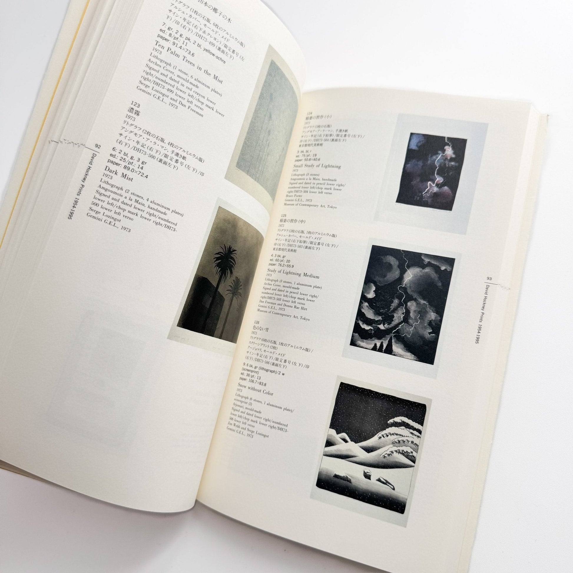 デイヴィッド・ホックニー版画 : 1954 - 1995 - 淡交社 - 文福