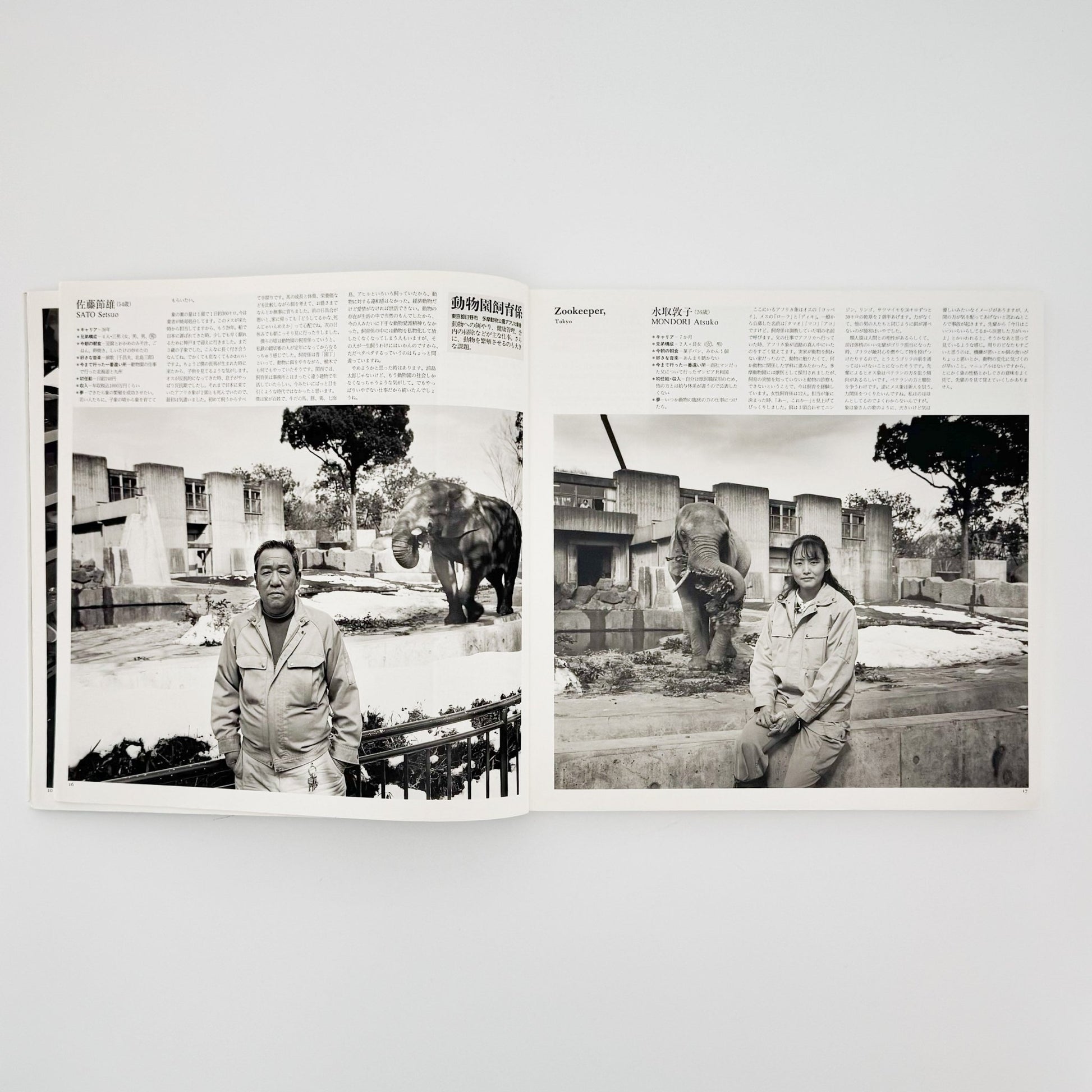 橋口譲二　職 1991 - 1995 WORK - メディアファクトリー - 文福