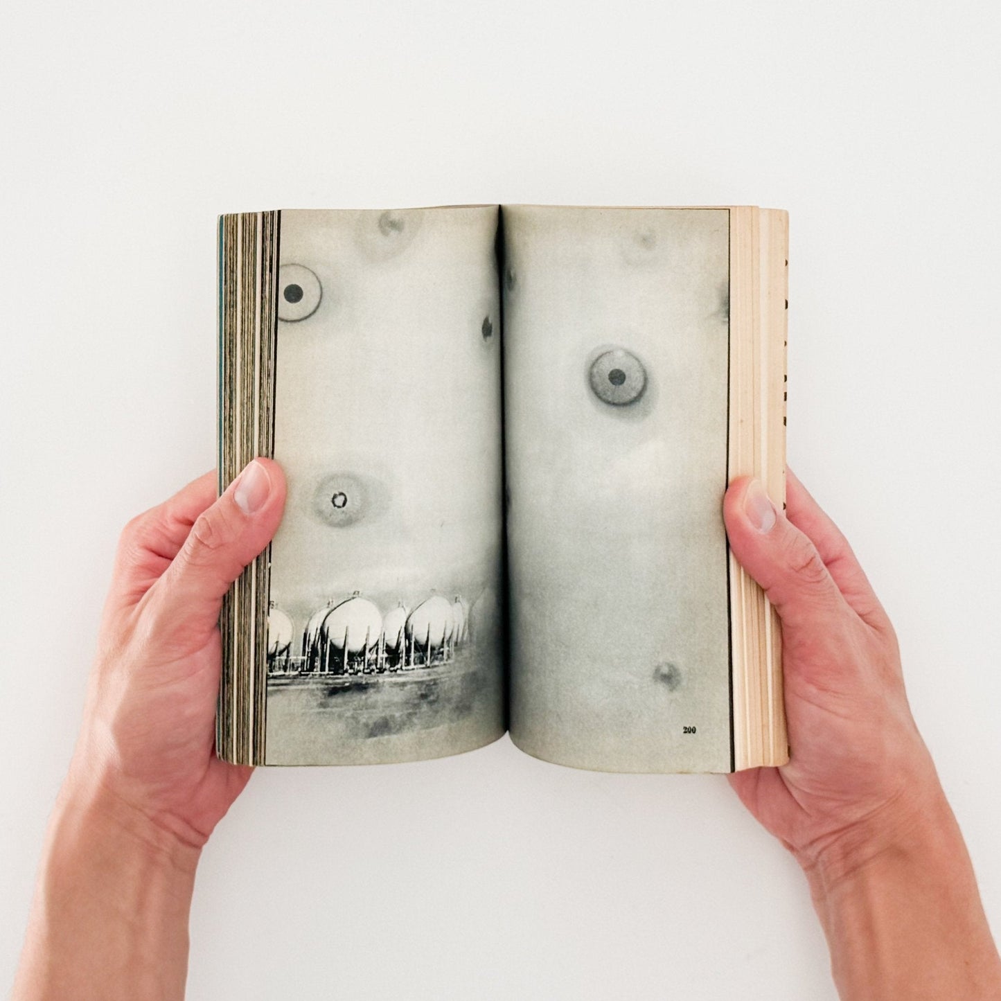 Here is JAPAN 2号 - 文福