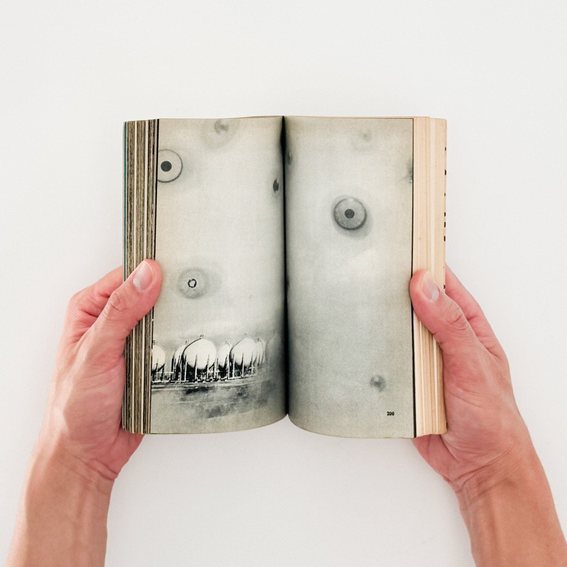 Here is JAPAN 2号 - 文福