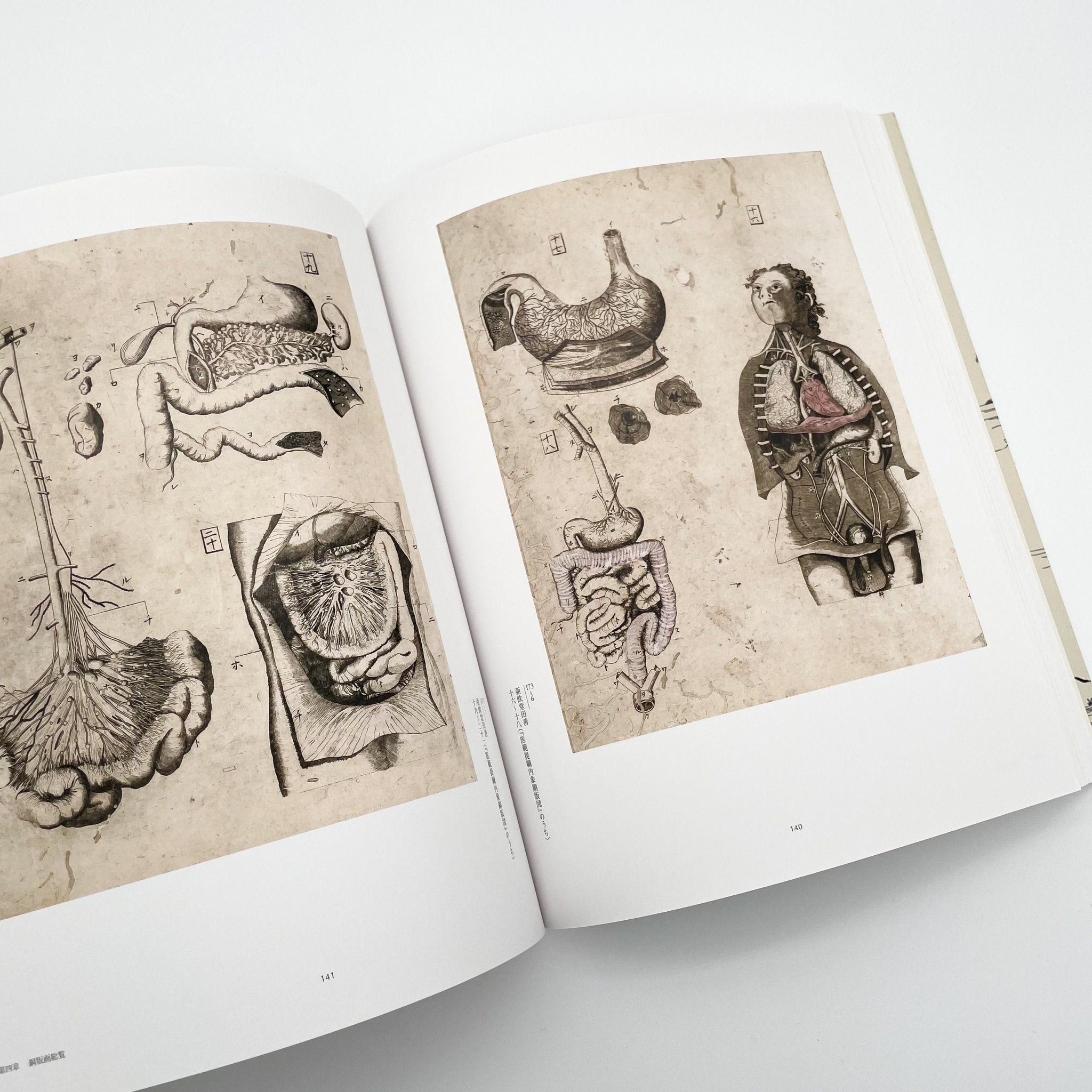 没後200年 亜欧堂田善 江戸の洋風画家・創造の軌跡 (展覧会図録) – 文福