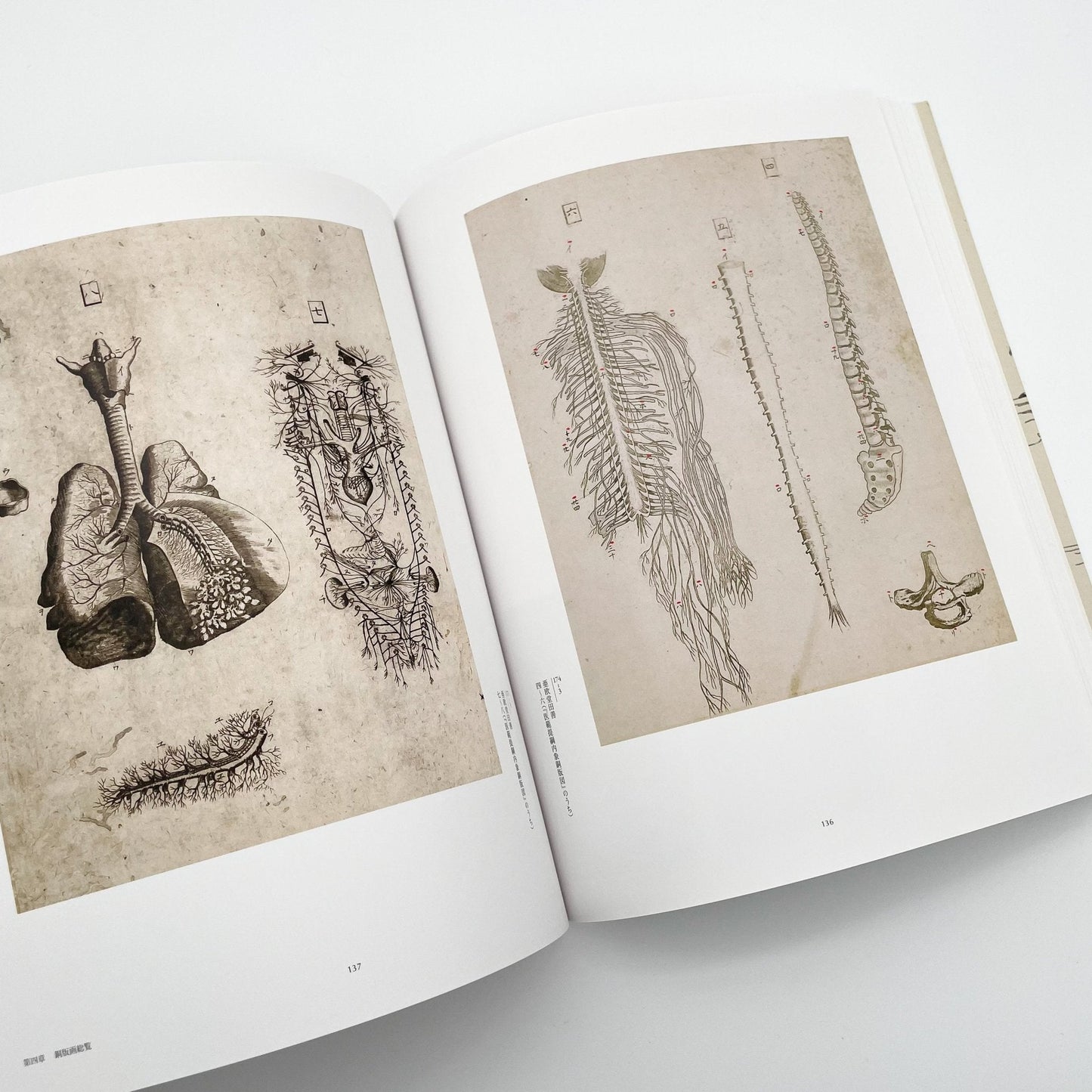 没後200年 亜欧堂田善 江戸の洋風画家・創造の軌跡 - 福島県立美術館/千葉市美術館/東京新聞 - 文福